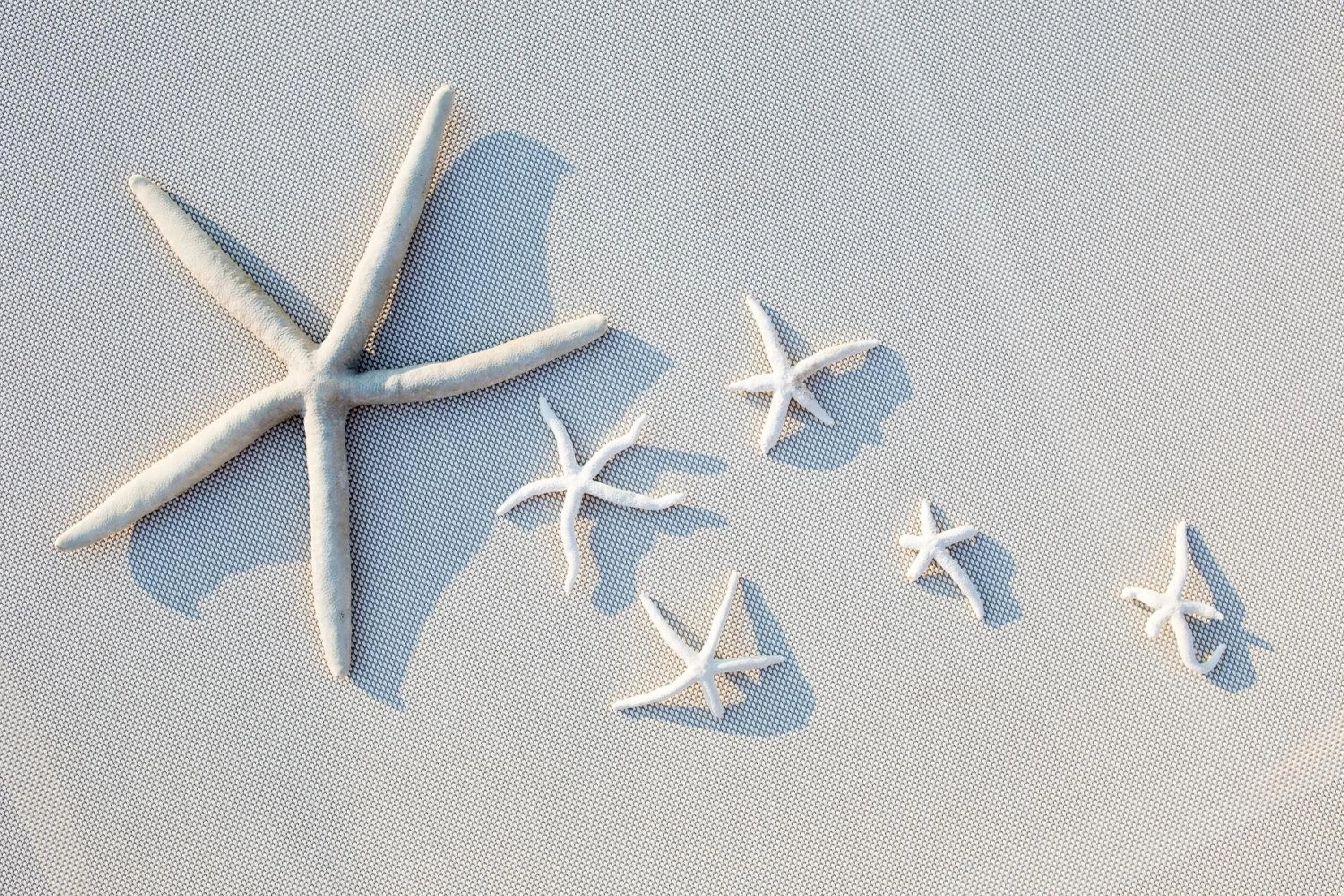 Decorative detail in Hotel Europa Lignano