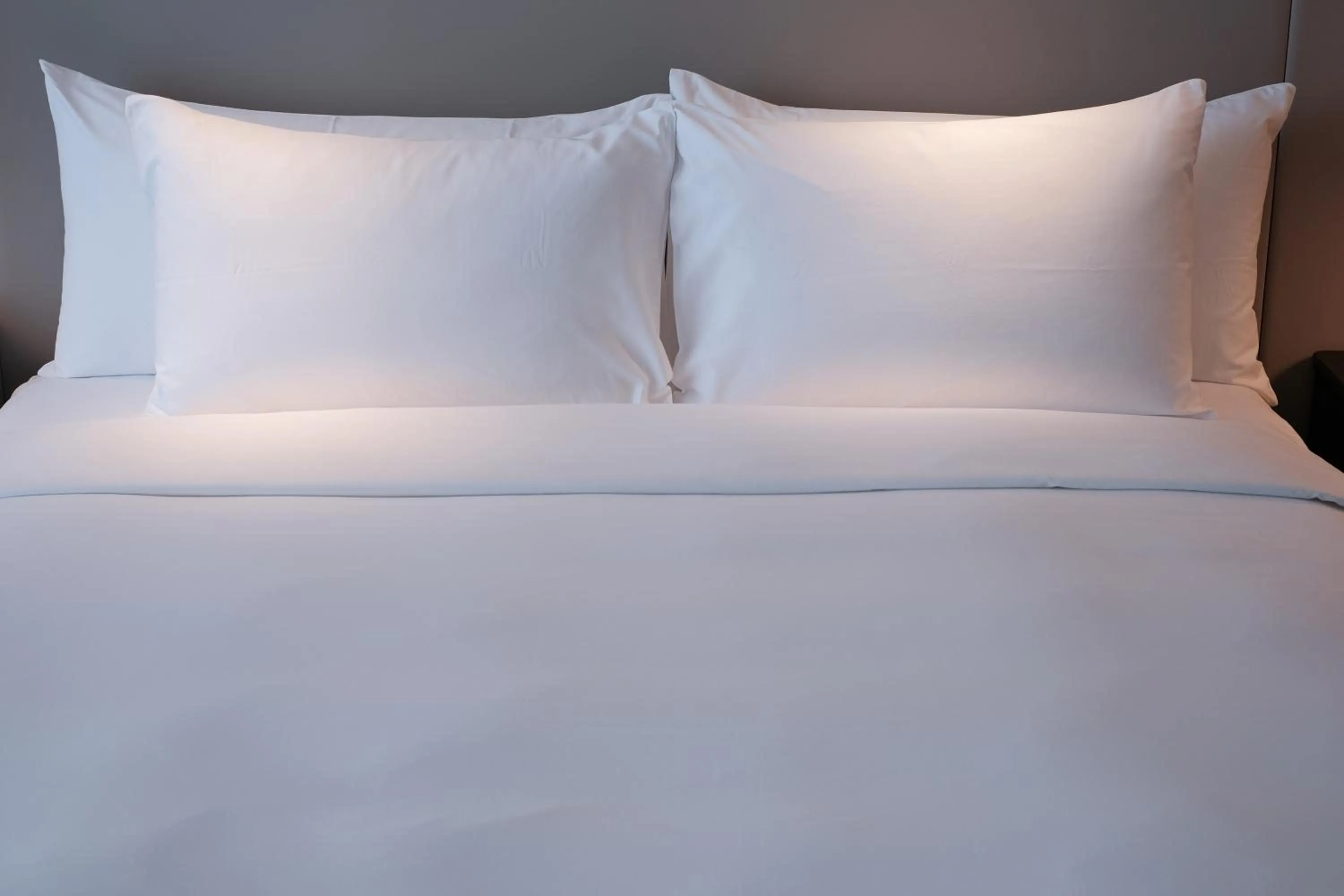 Double Room - Disability Access in The Rhyland