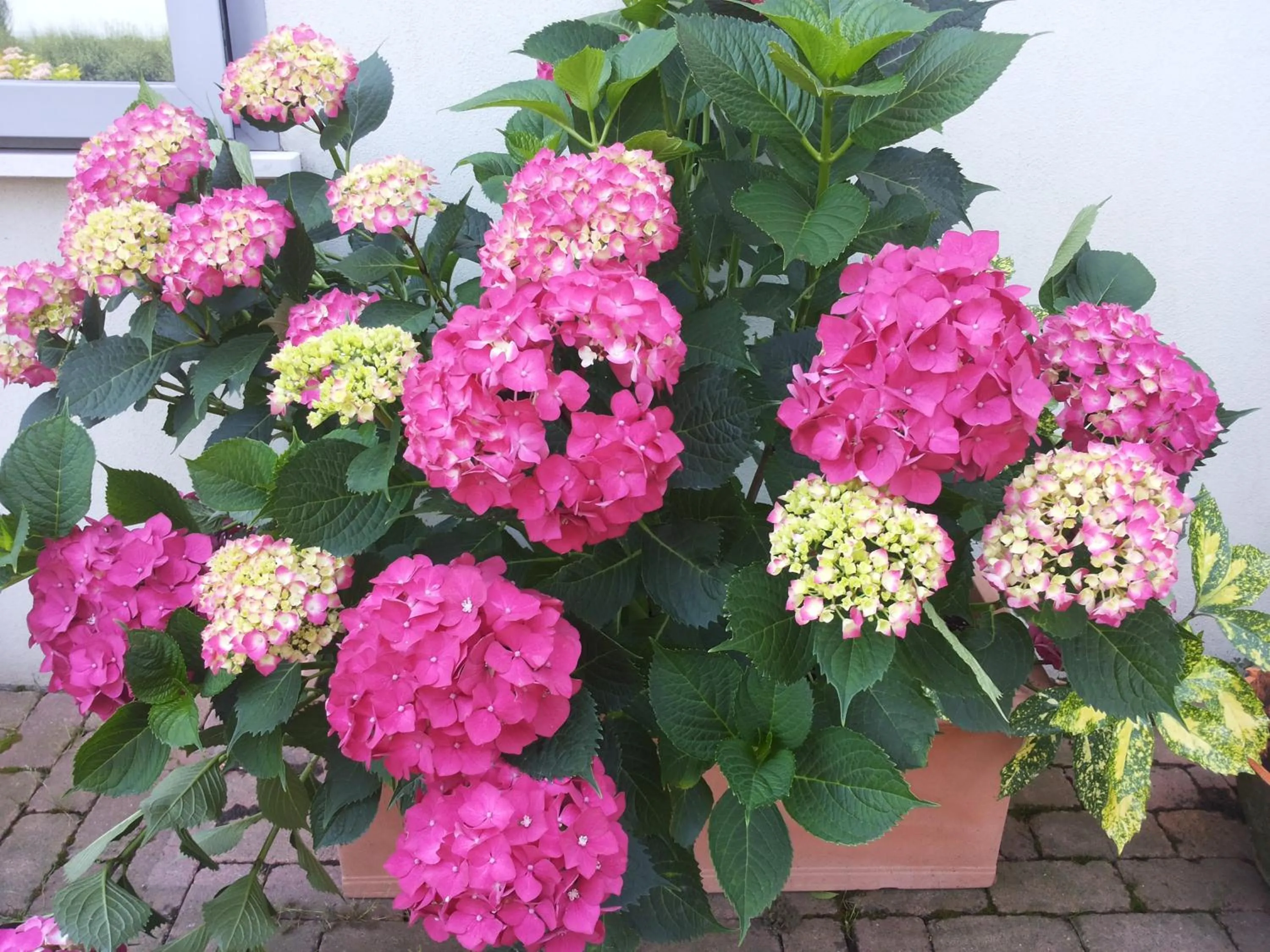 Facade/entrance in A Casa Di Paola