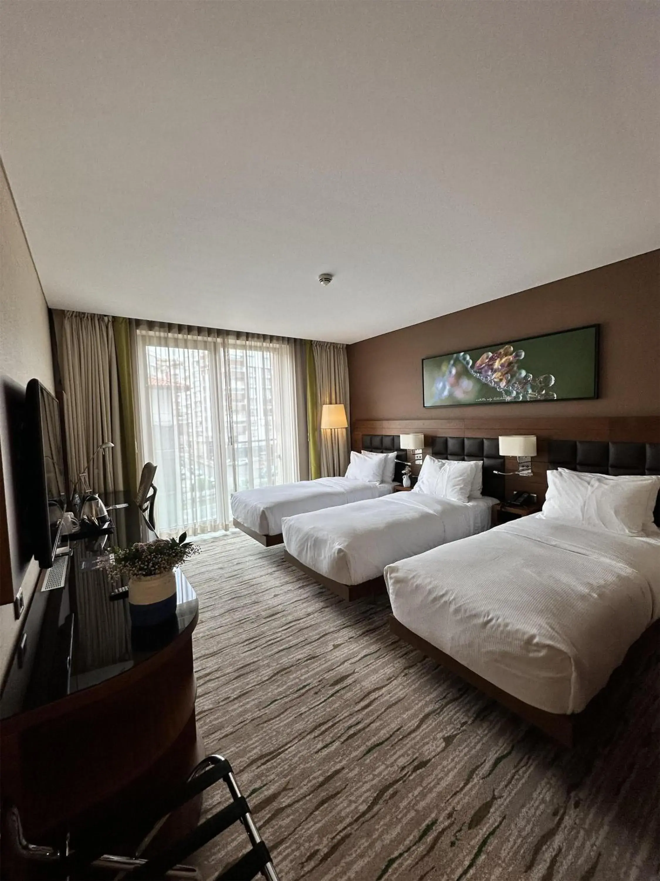 Triple Room with City View in DoubleTree by Hilton Trabzon Triple Room with City View in DoubleTree by Hilton Trabzon