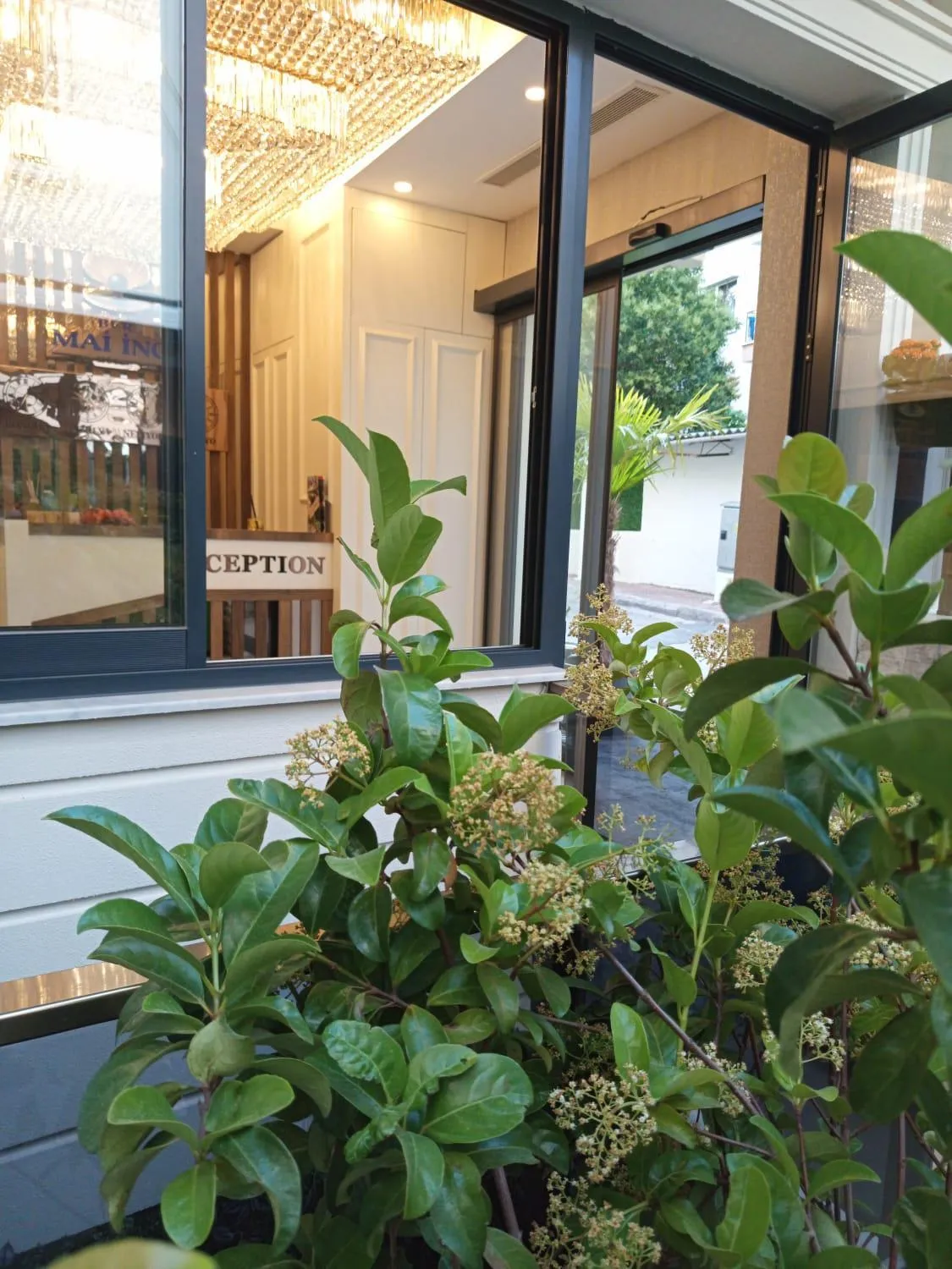 Lobby or reception in Ber Mai İnci Hotel Antalya