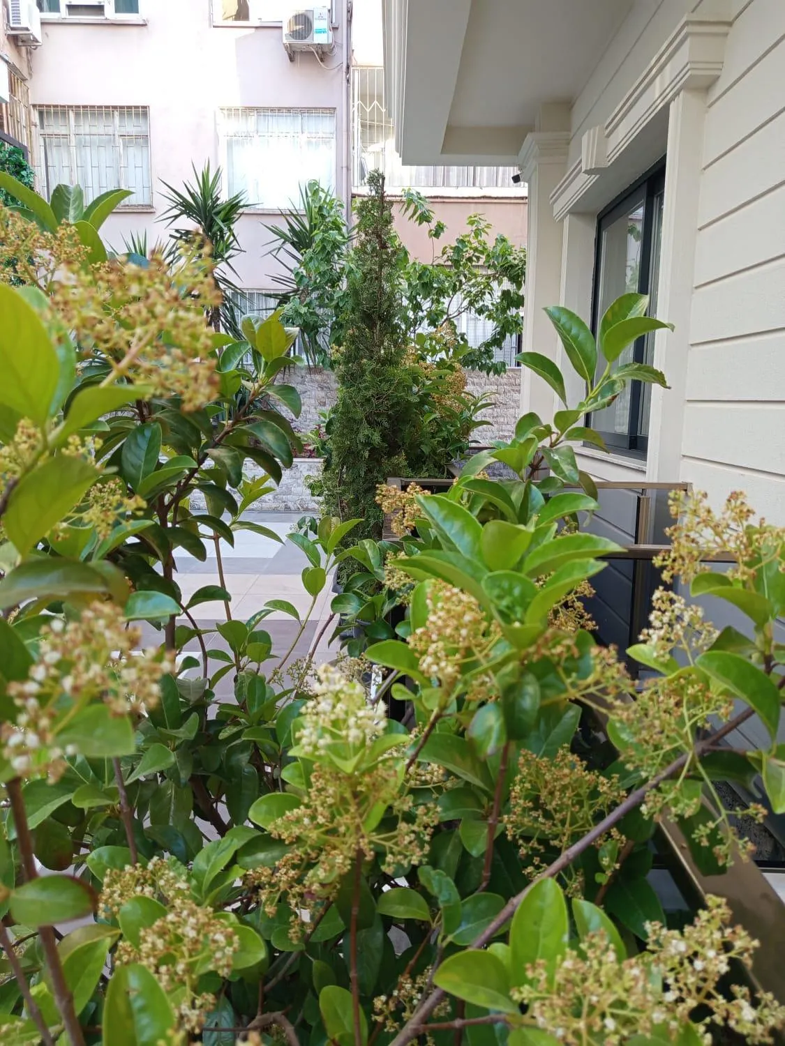 Spring in Ber Mai İnci Hotel Antalya