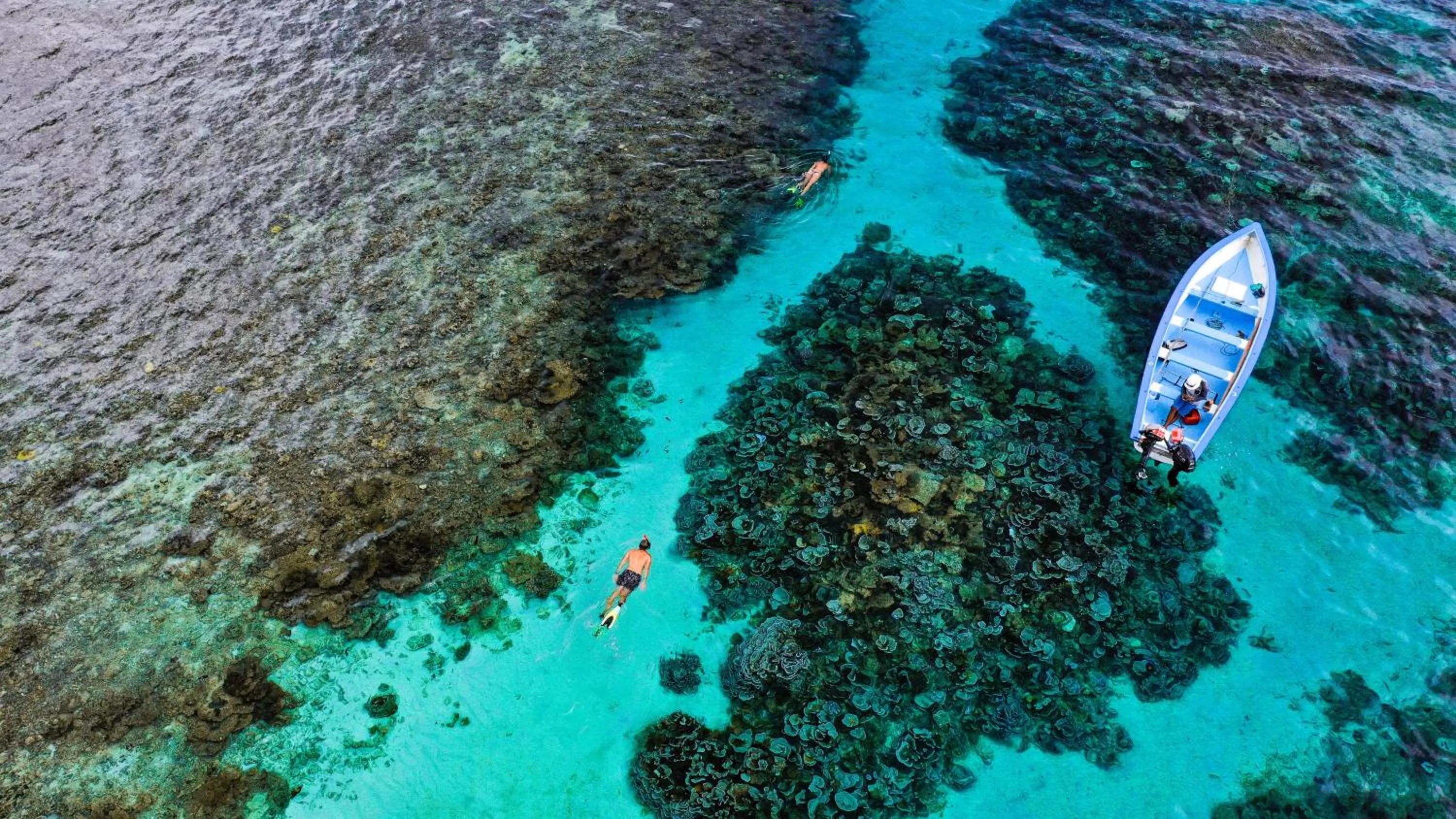 Natural landscape in C Rodrigues Mourouk - Rodrigues Island