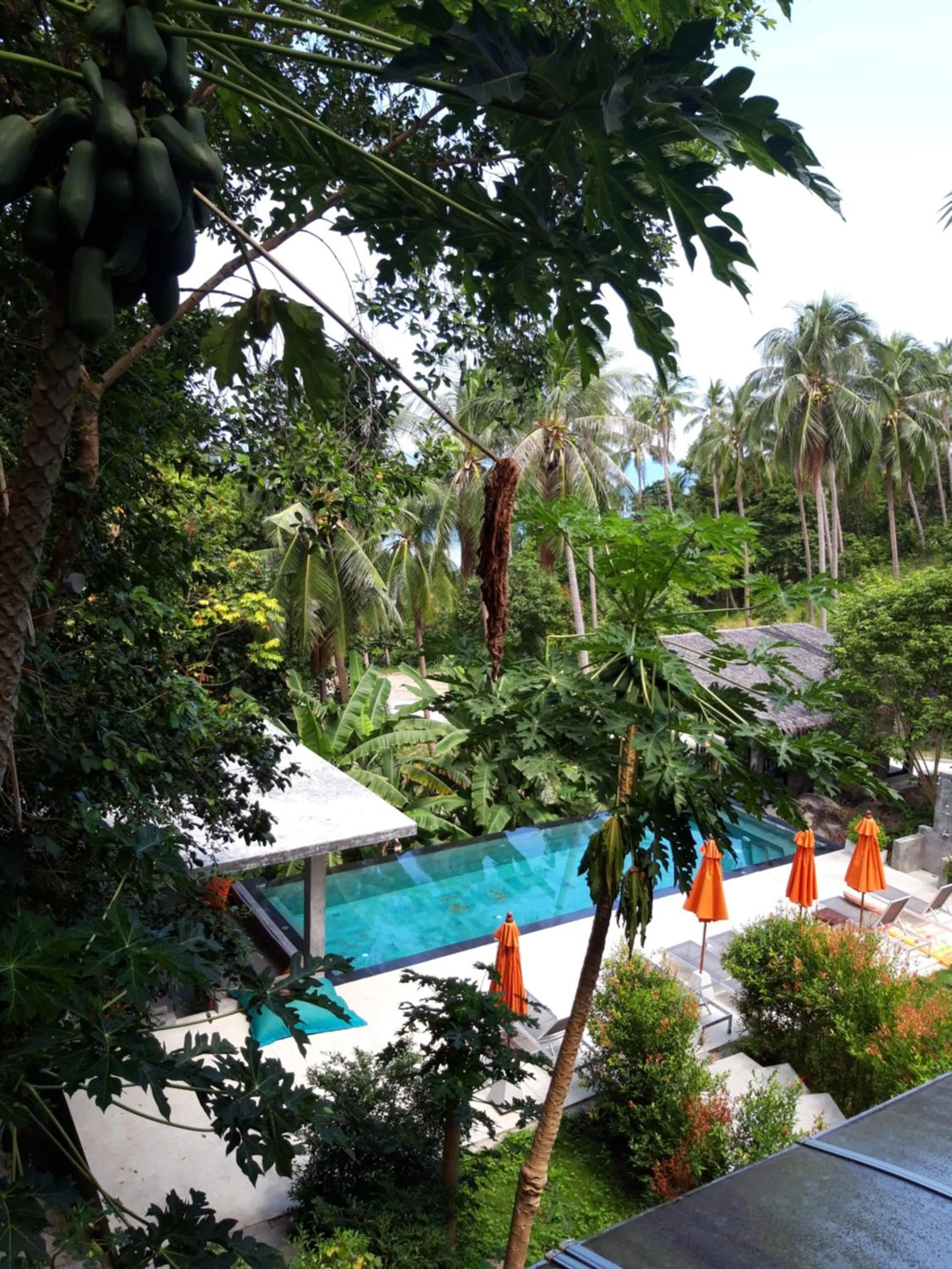 Pool view in Padel Phangan Suite