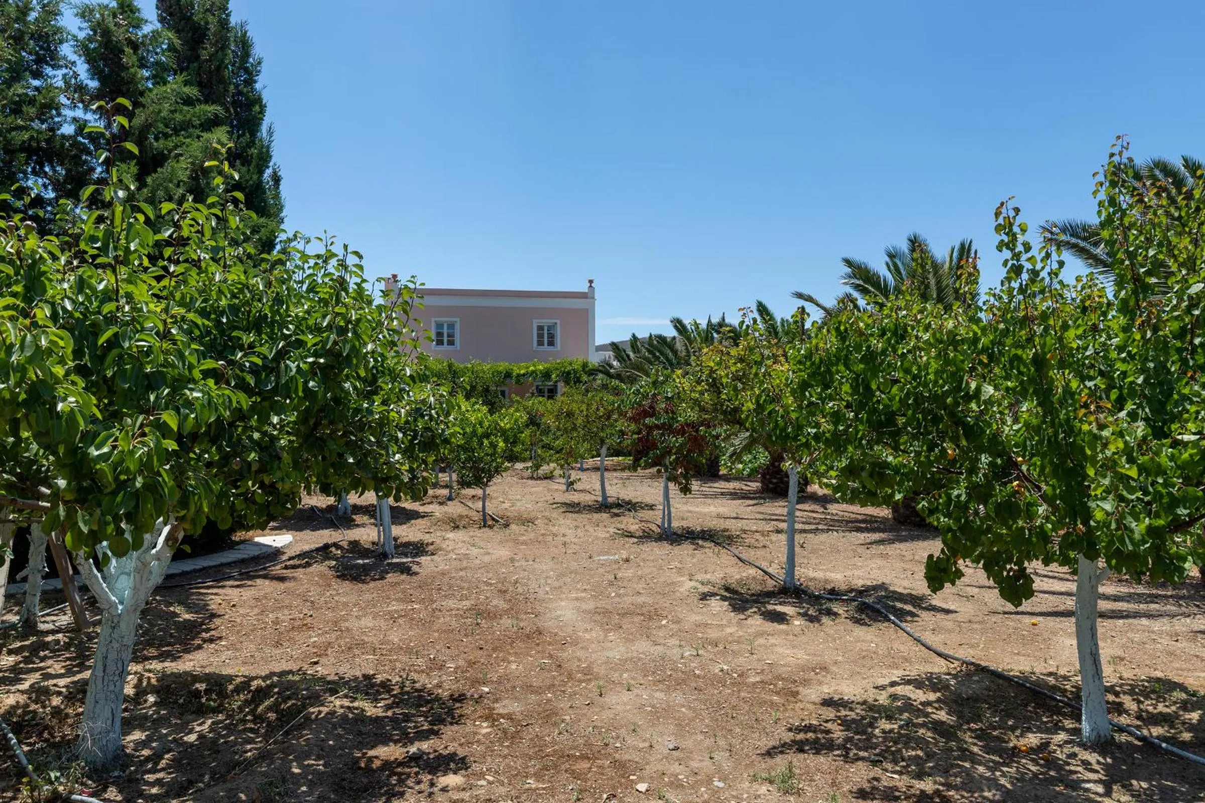 Natural landscape in Villa Casa Del Sol Syros
