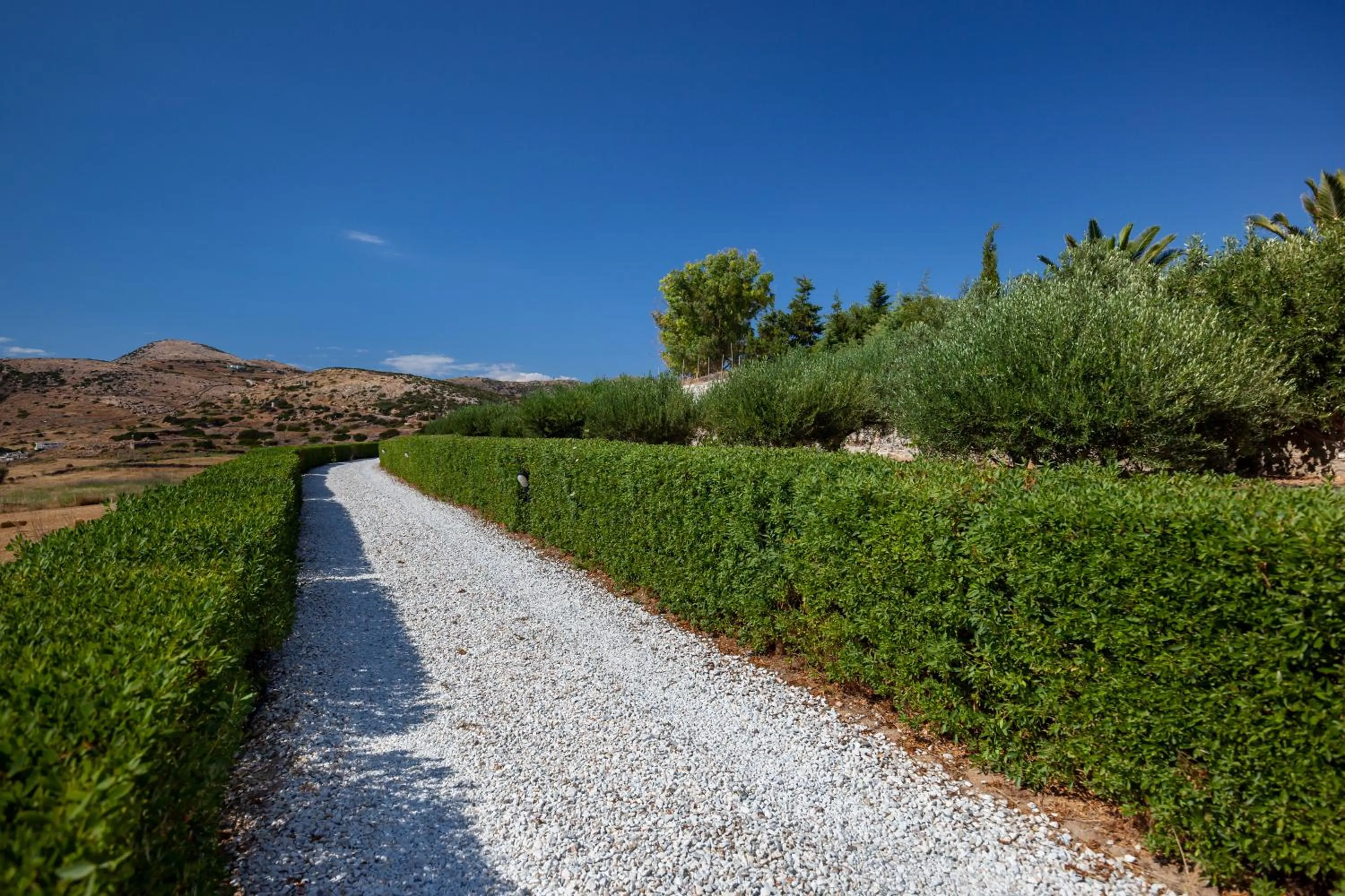 Garden in Villa Casa Del Sol Syros