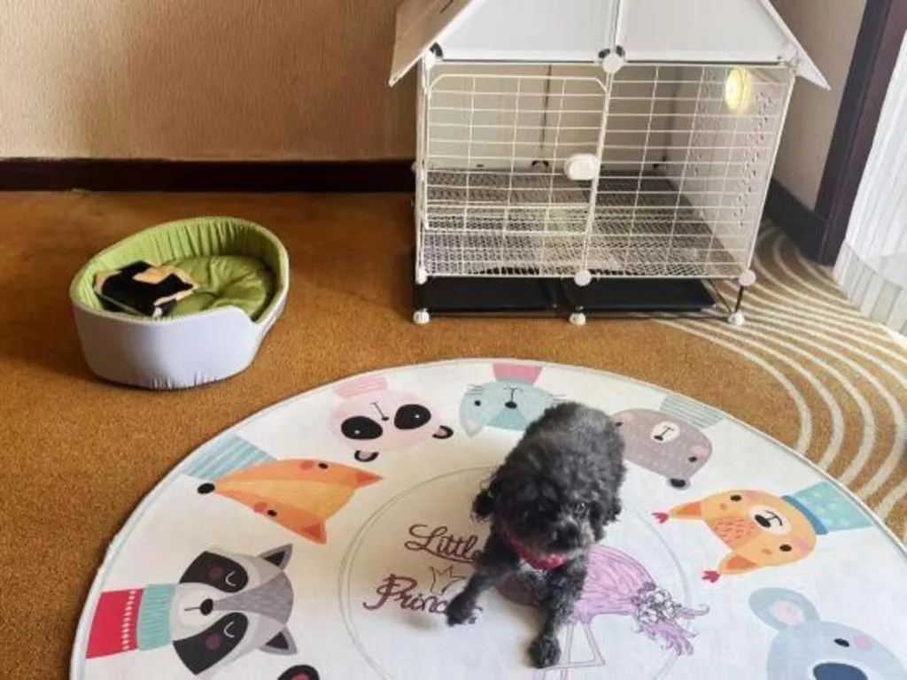 Country Garden Phoenix Hotel Chaohu