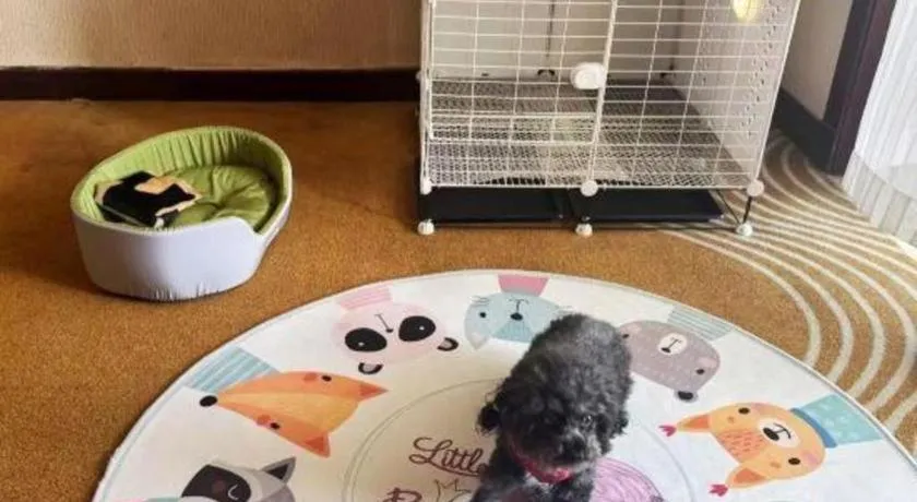 Country Garden Phoenix Hotel Chaohu