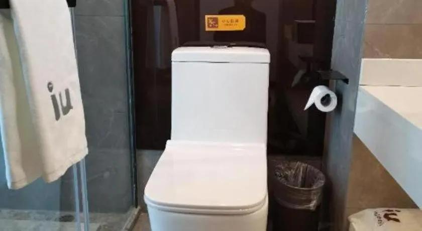 IU Hotel Xinyu Fenyi Mall