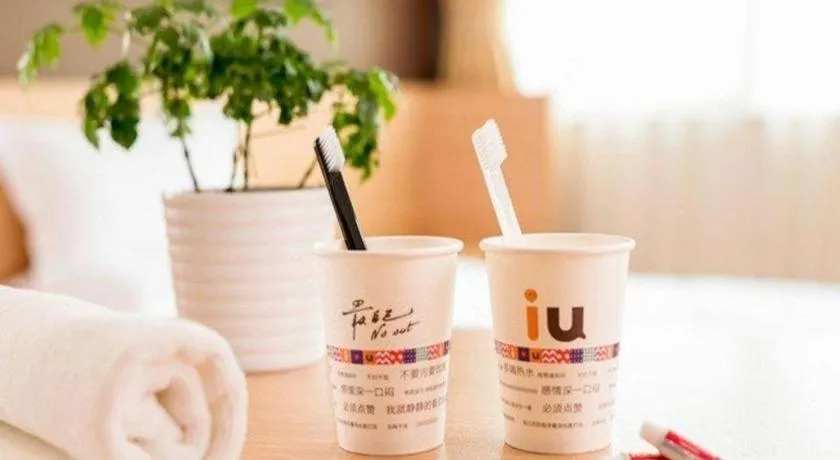 IU Hotel Xinyu Fenyi Mall