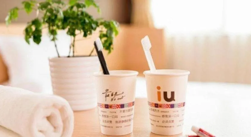 IU Hotel Xinyu Fenyi Mall