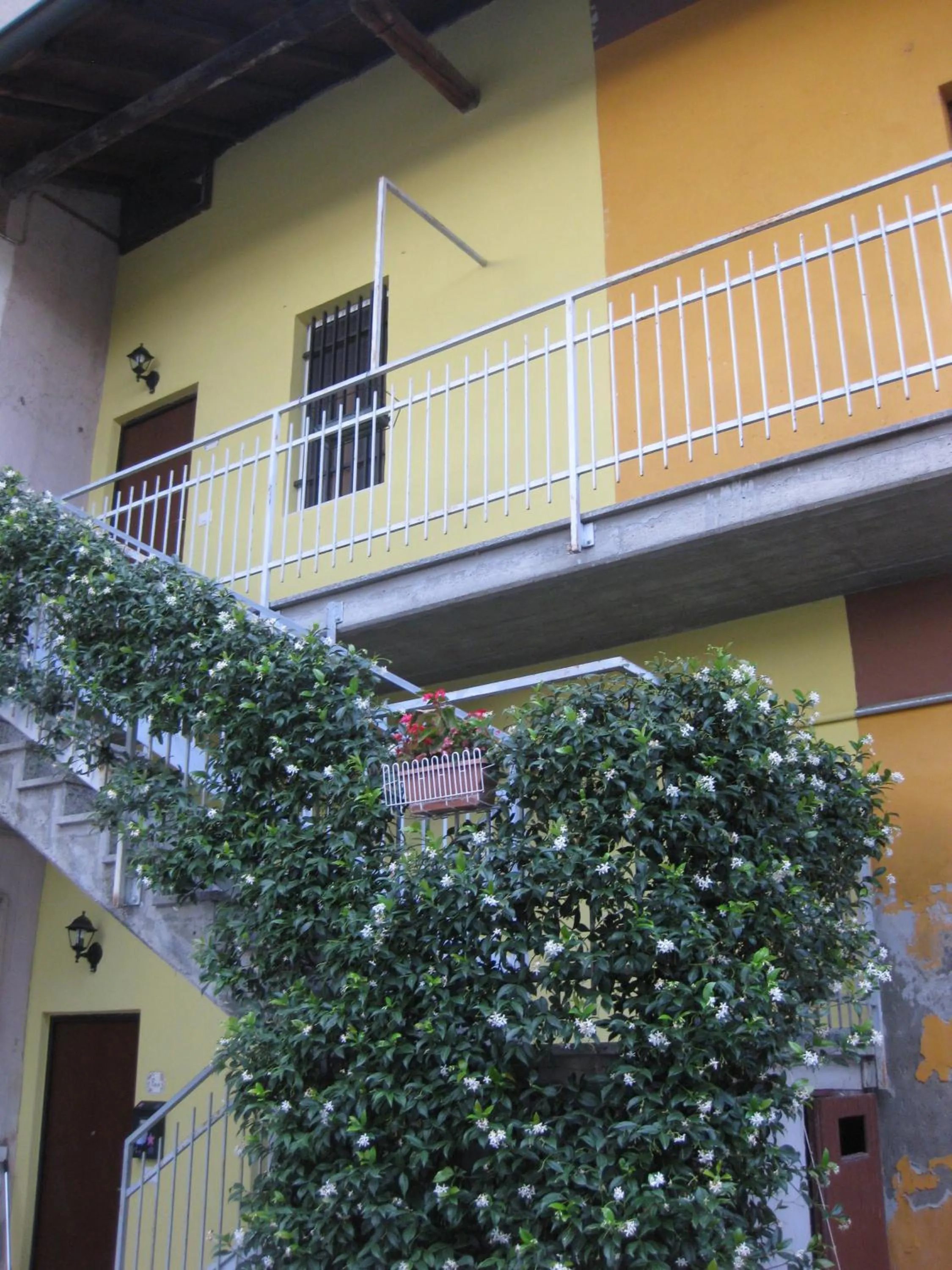 Property building in B&B Lavender&Rose