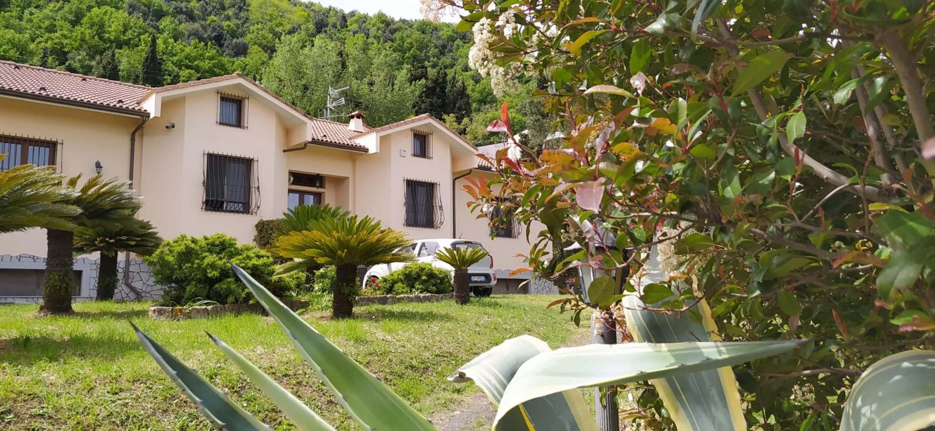 Le Poiane B&B Vacanze