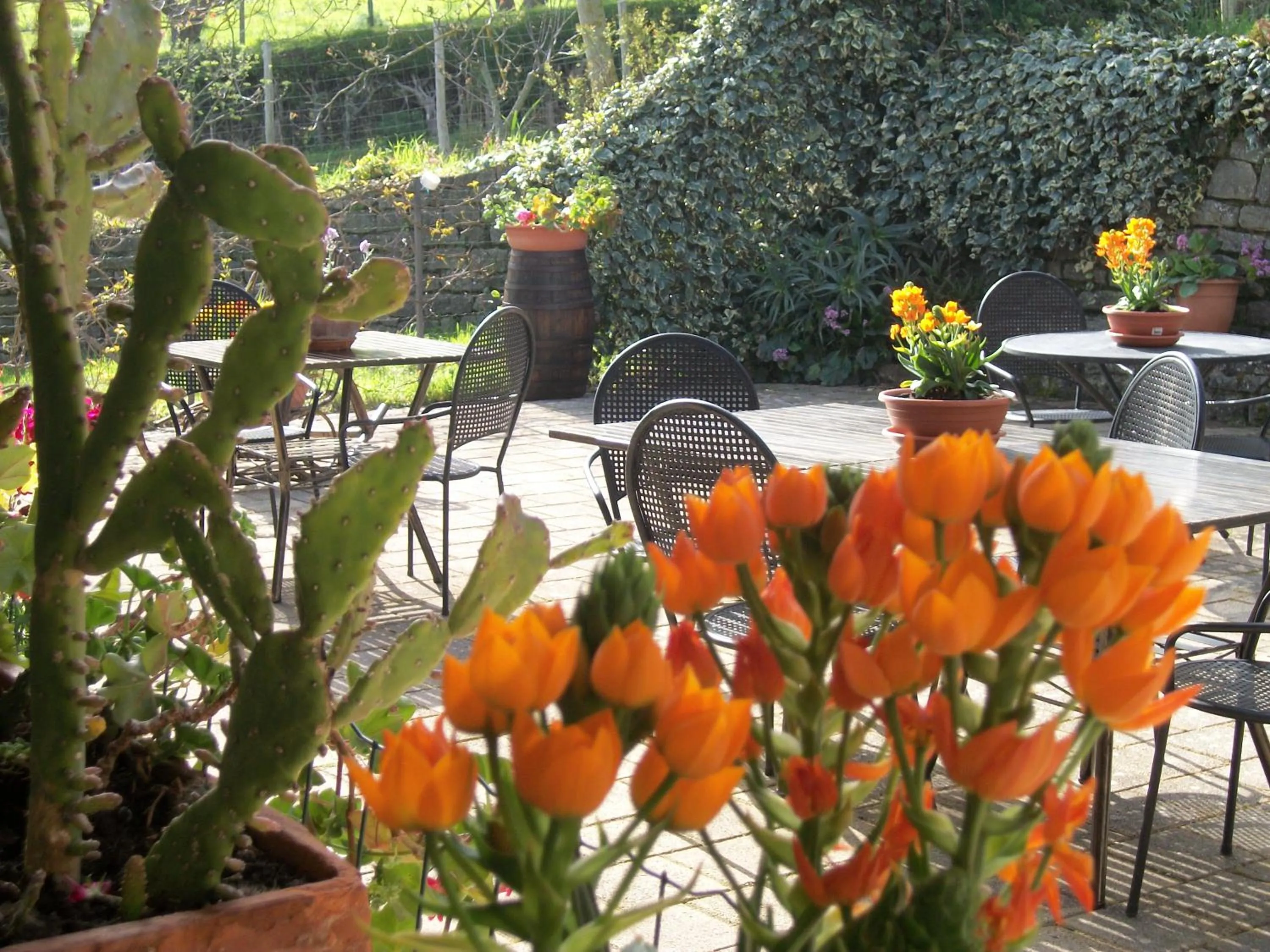 Garden in Le Poiane B&B Vacanze