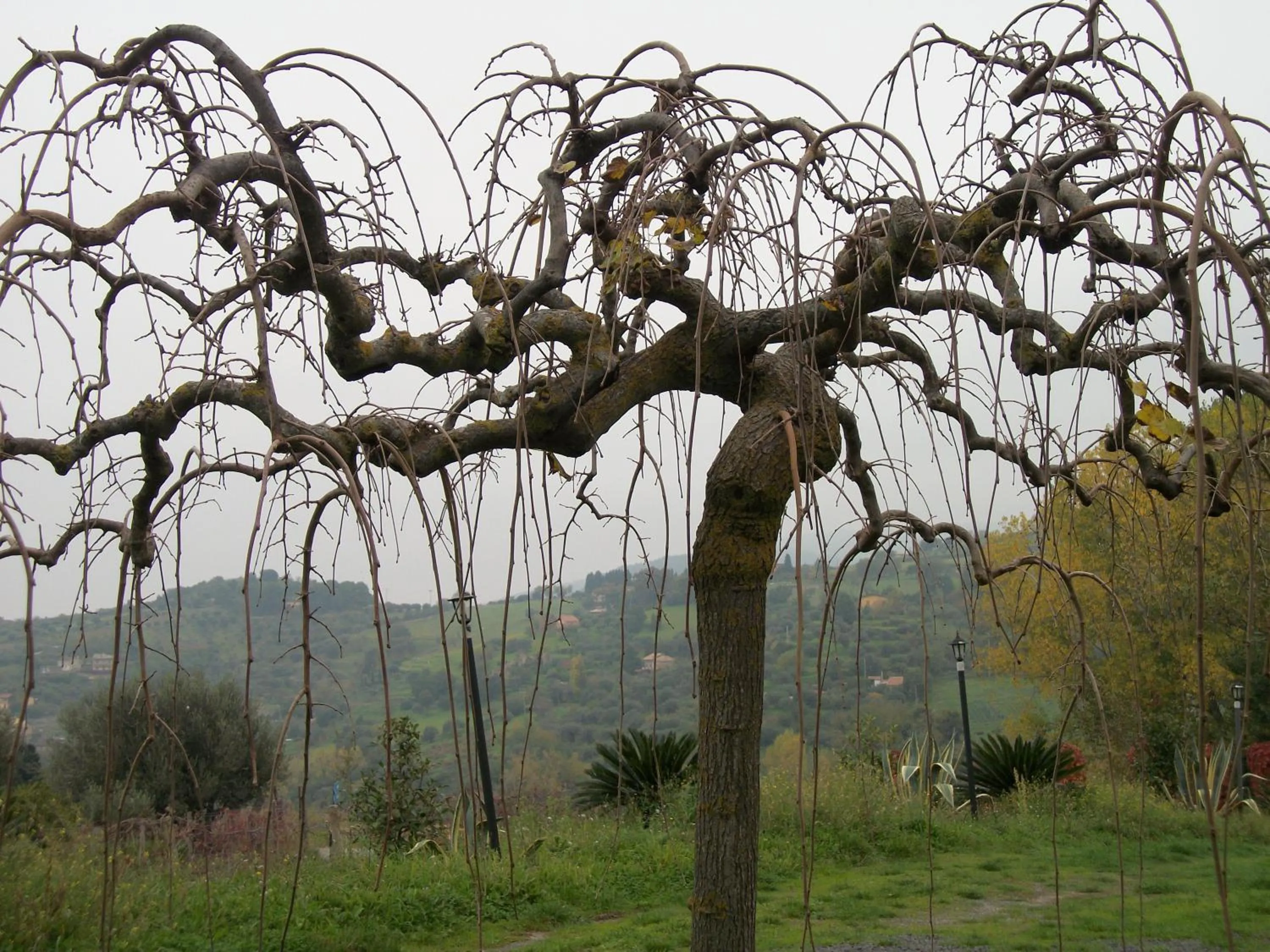 Le Poiane B&B Vacanze