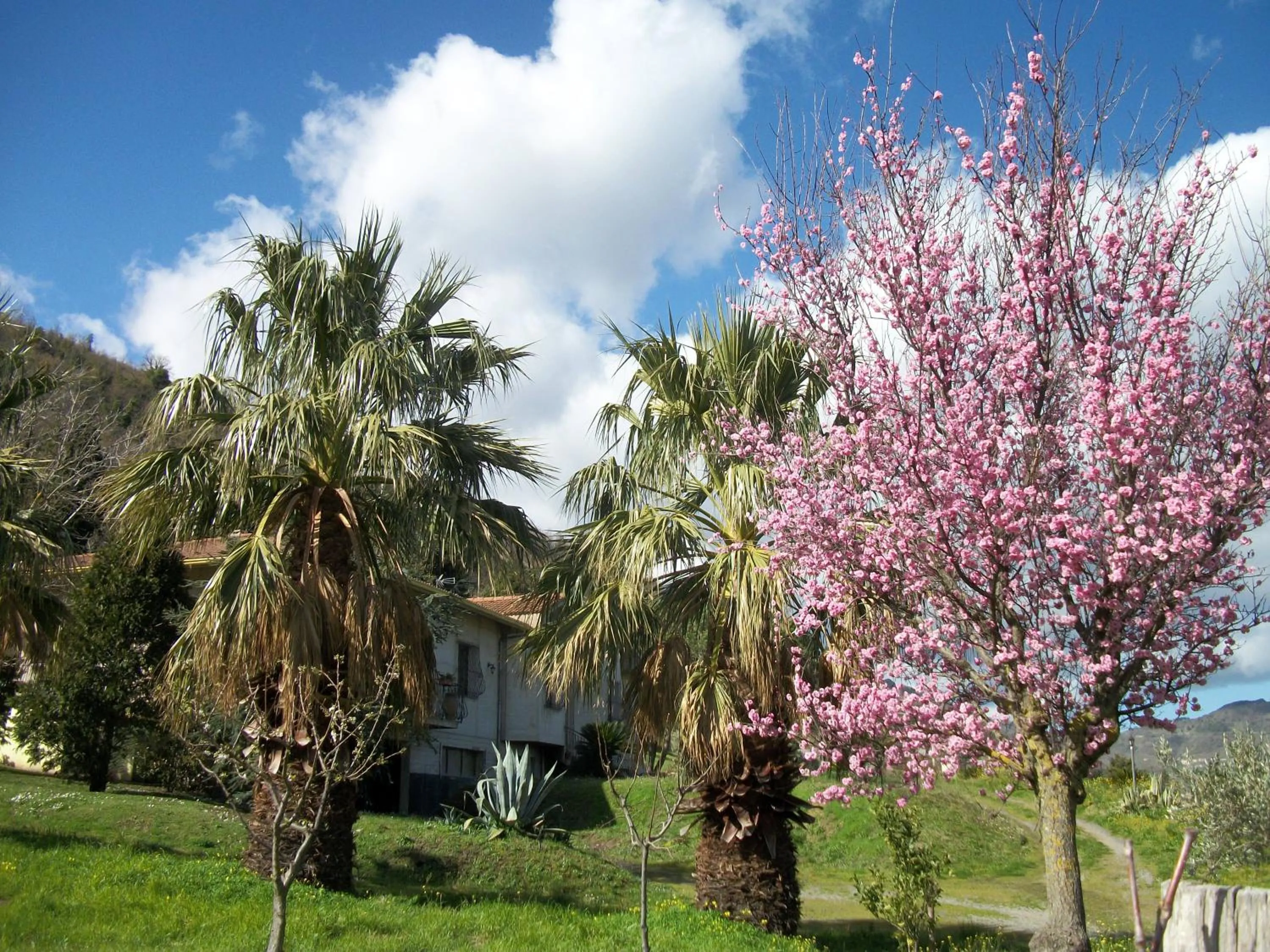 Garden in Le Poiane B&B Vacanze