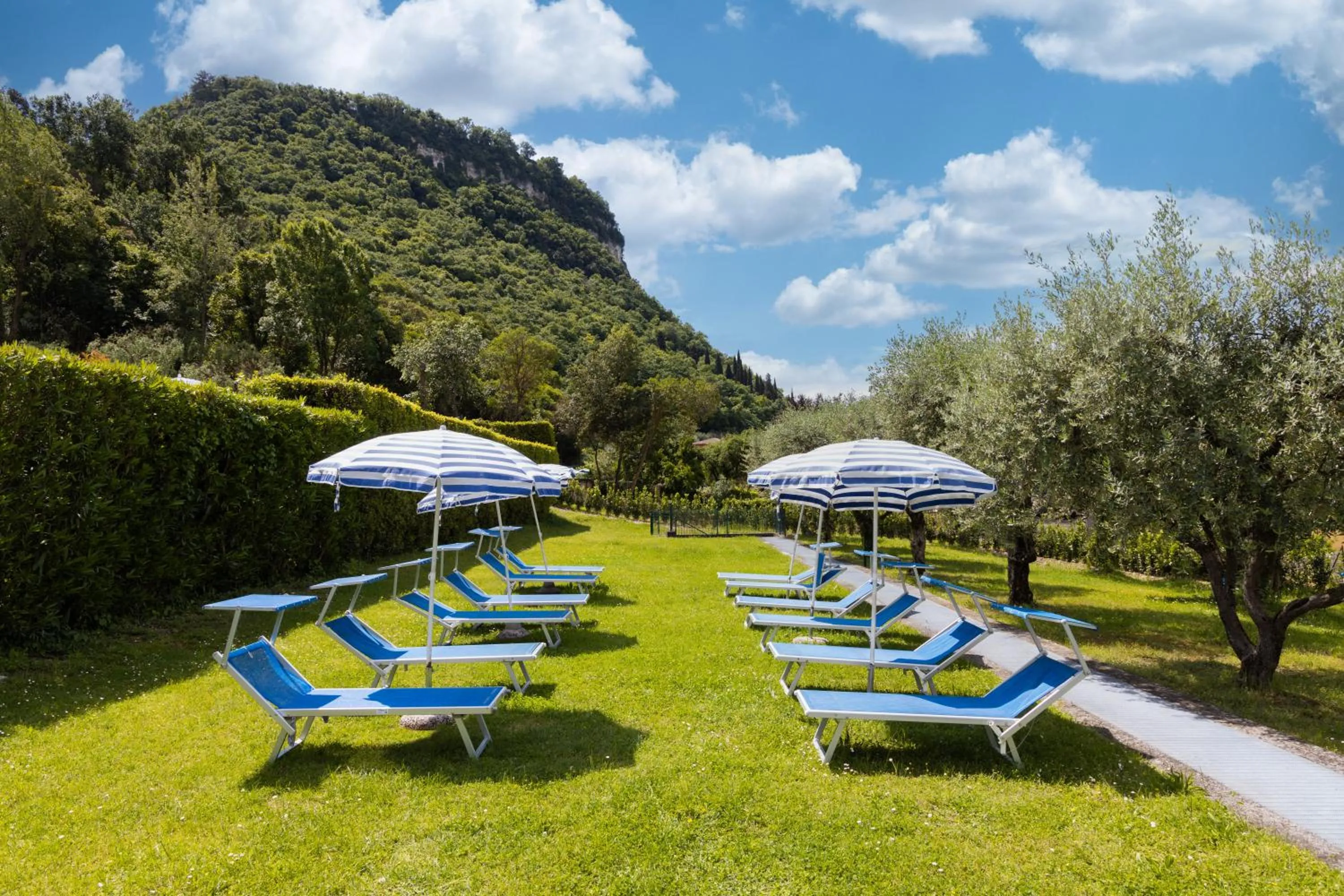 Garden in Hotel La Perla - Bike Hotel