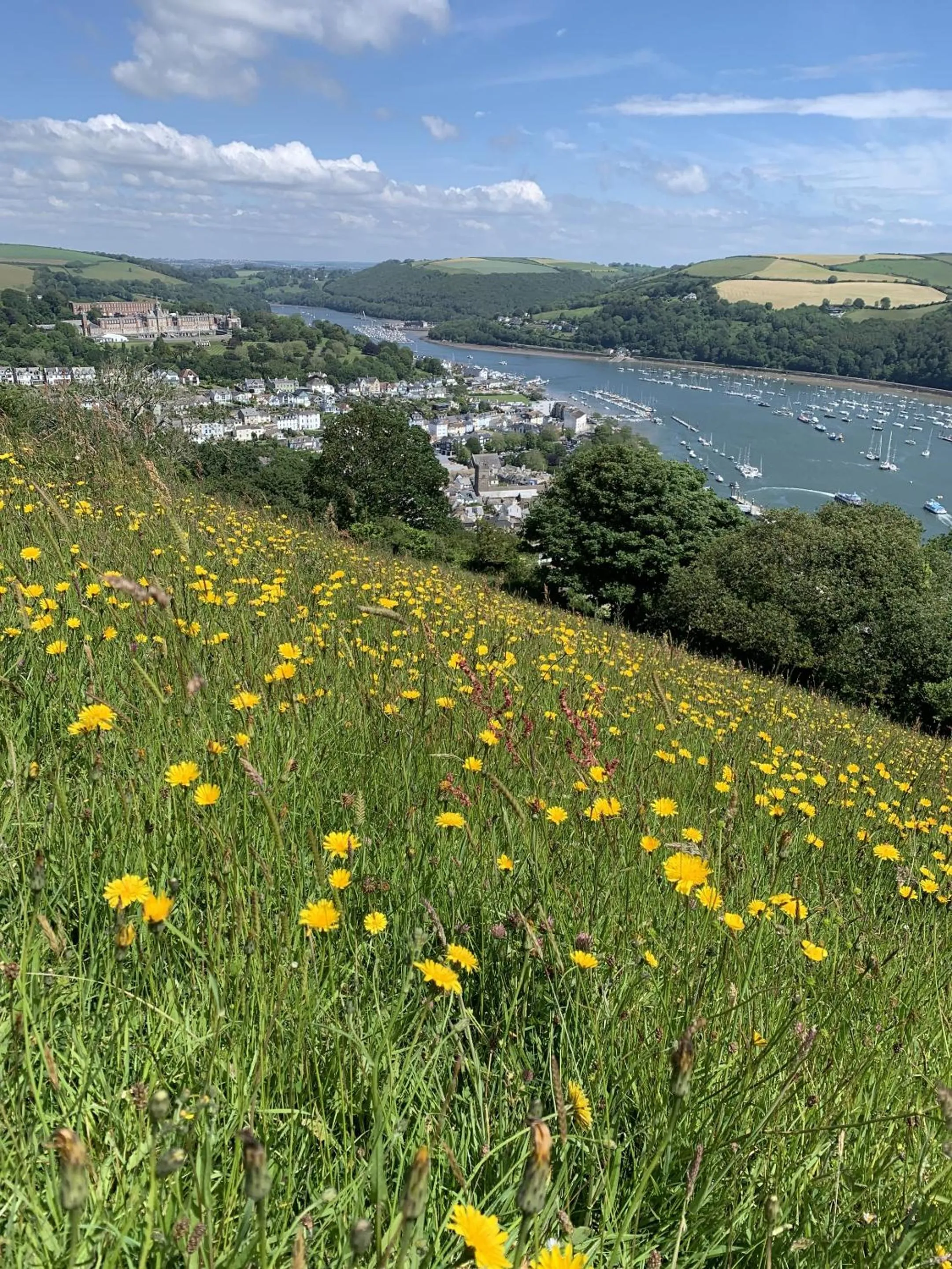 Neighbourhood in The Floating Bridge