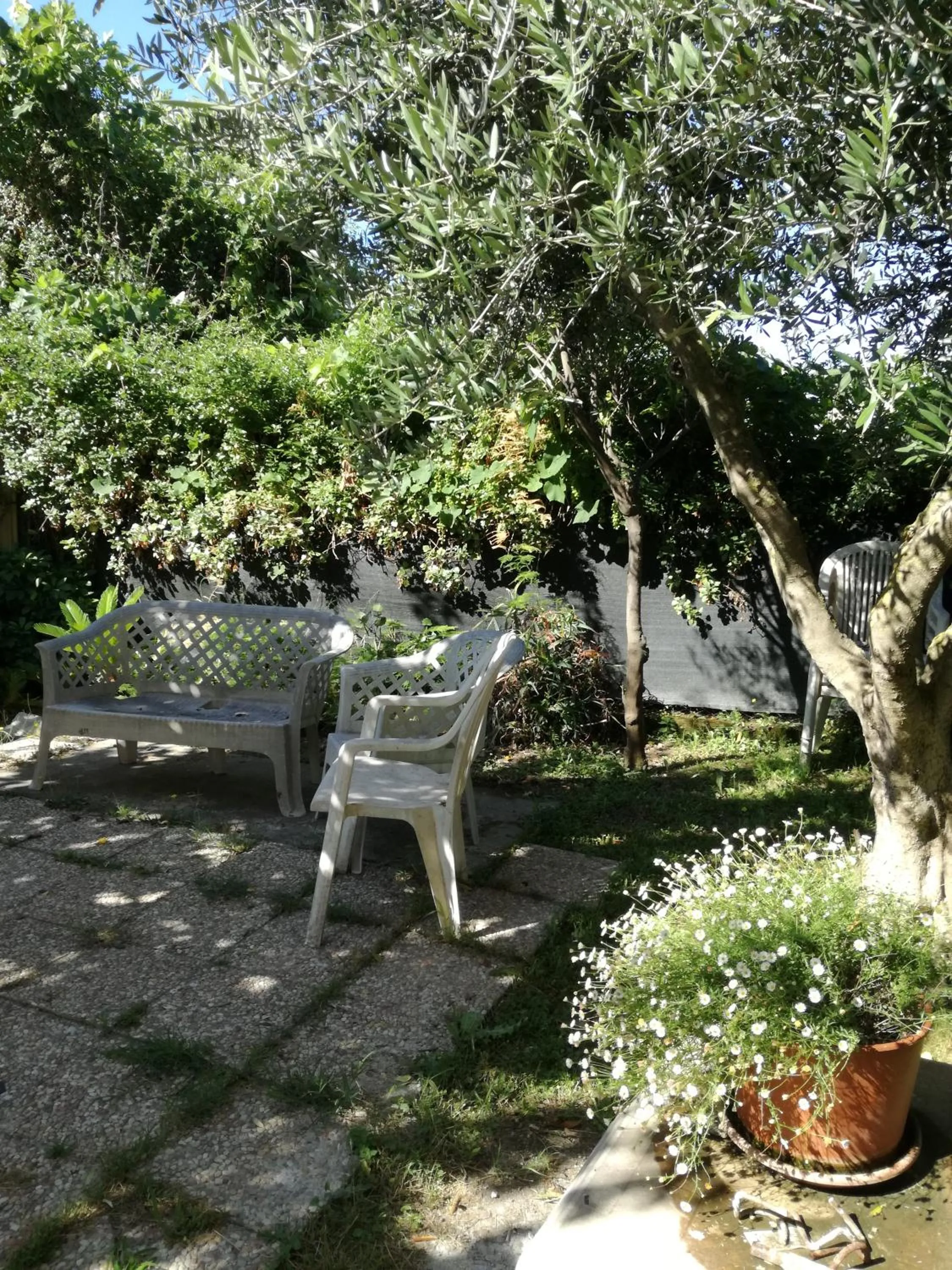 Garden in Bb Smallville