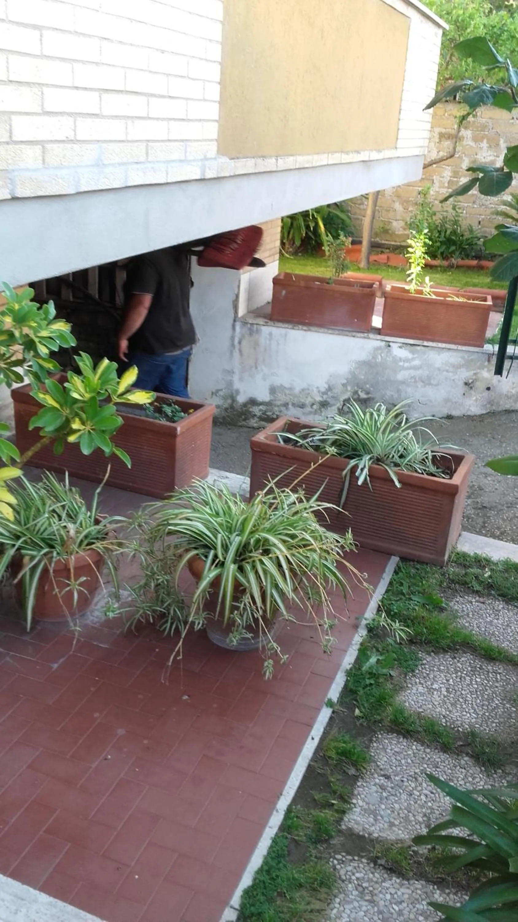 Garden view in Bb Smallville