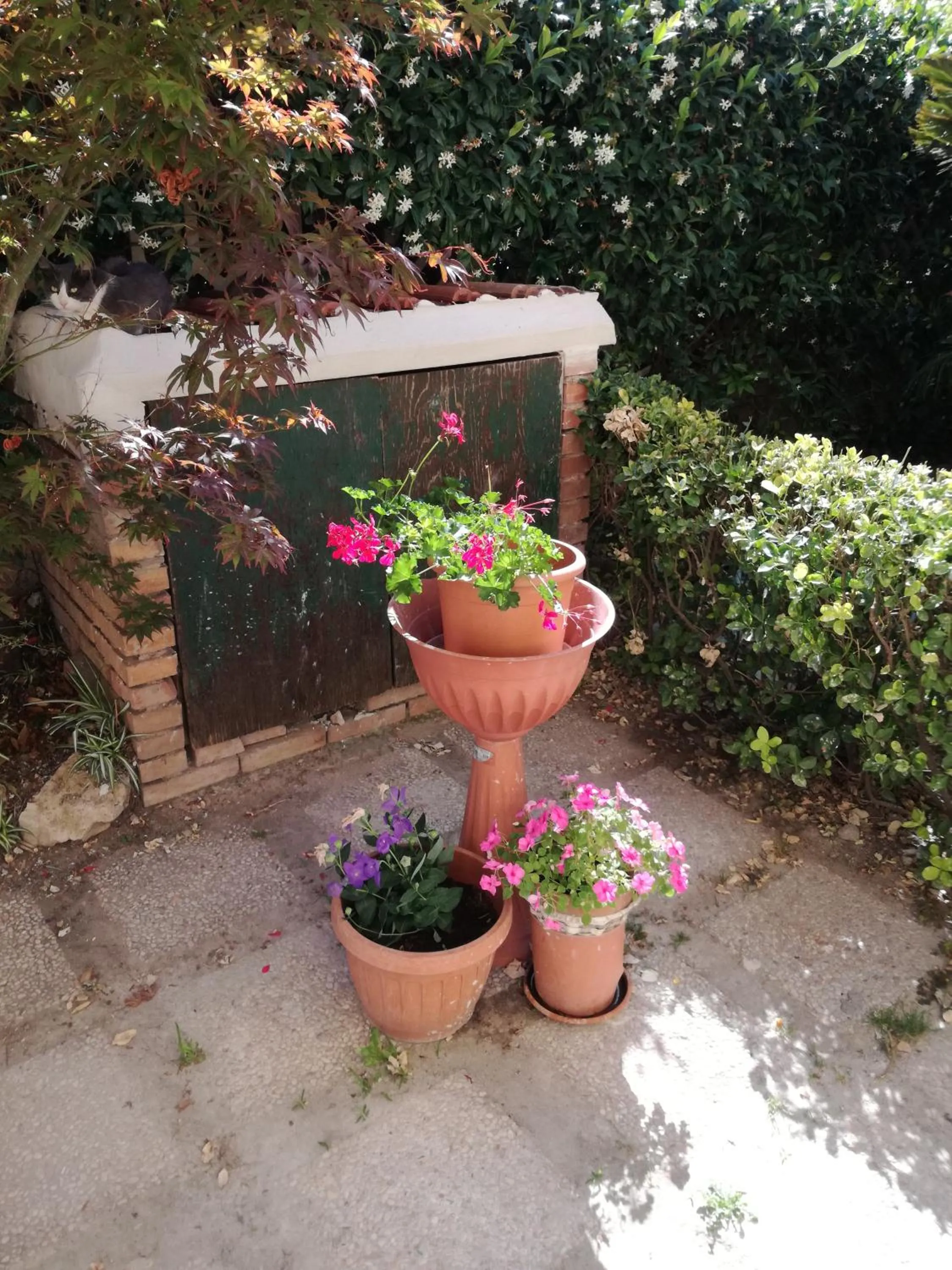 Garden in Bb Smallville