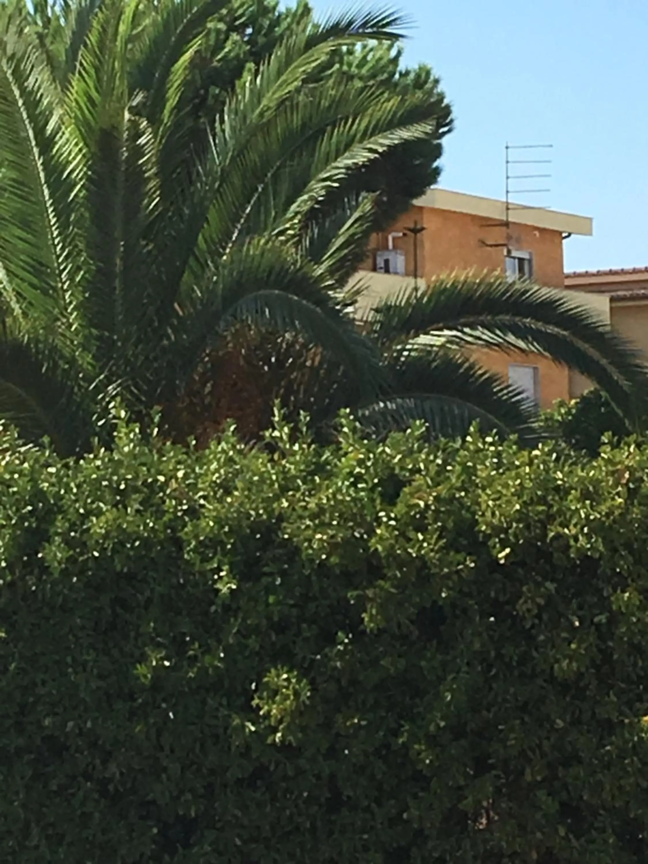 Property building in Bb Smallville