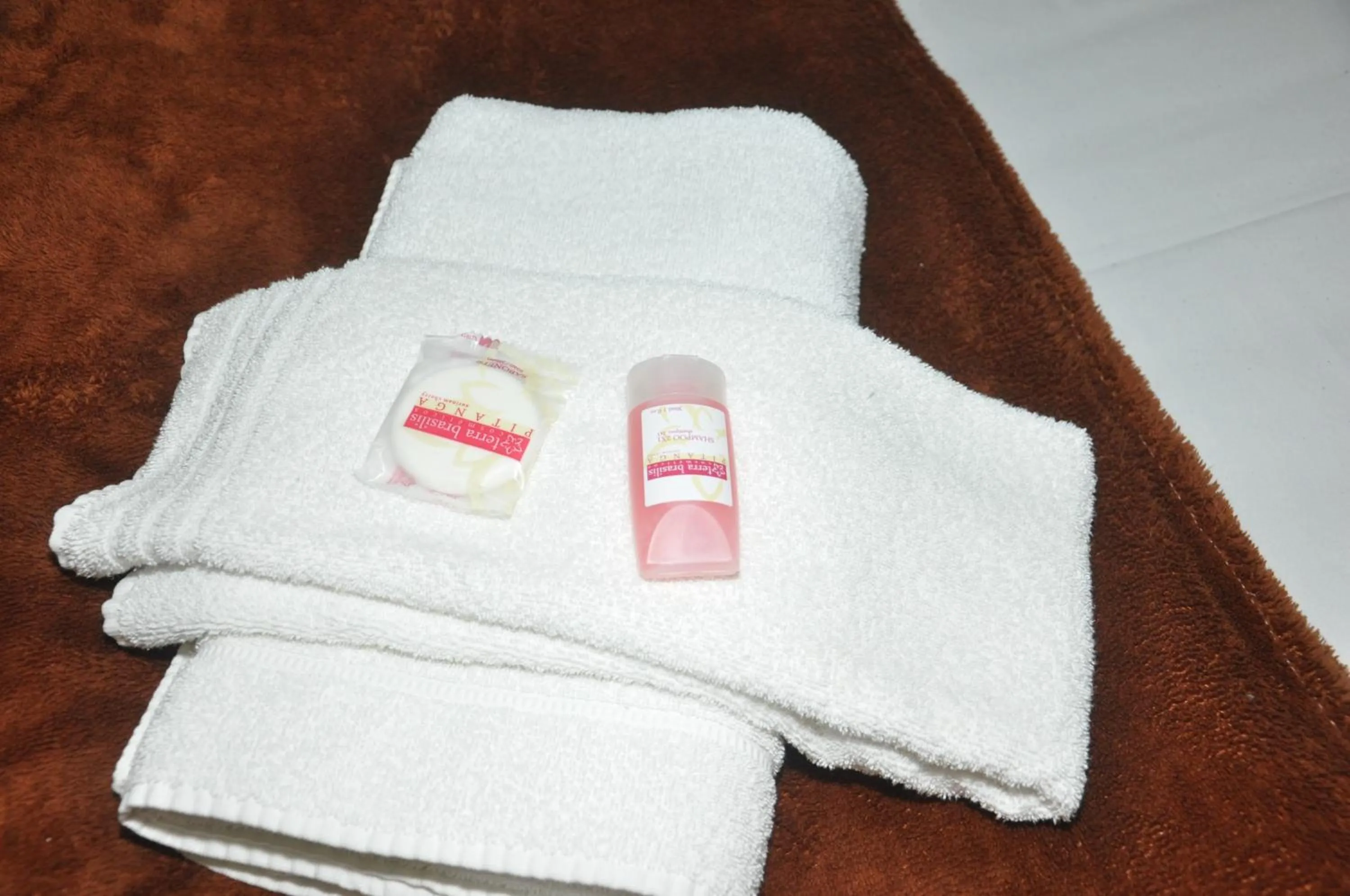 Decorative detail in Bonjour Hotel