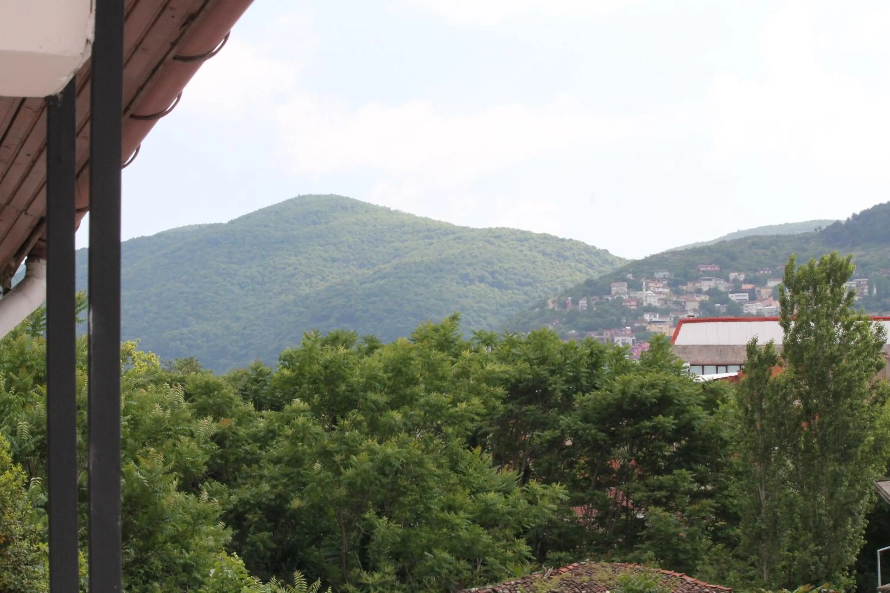 Mountain view in Lena Central Flats