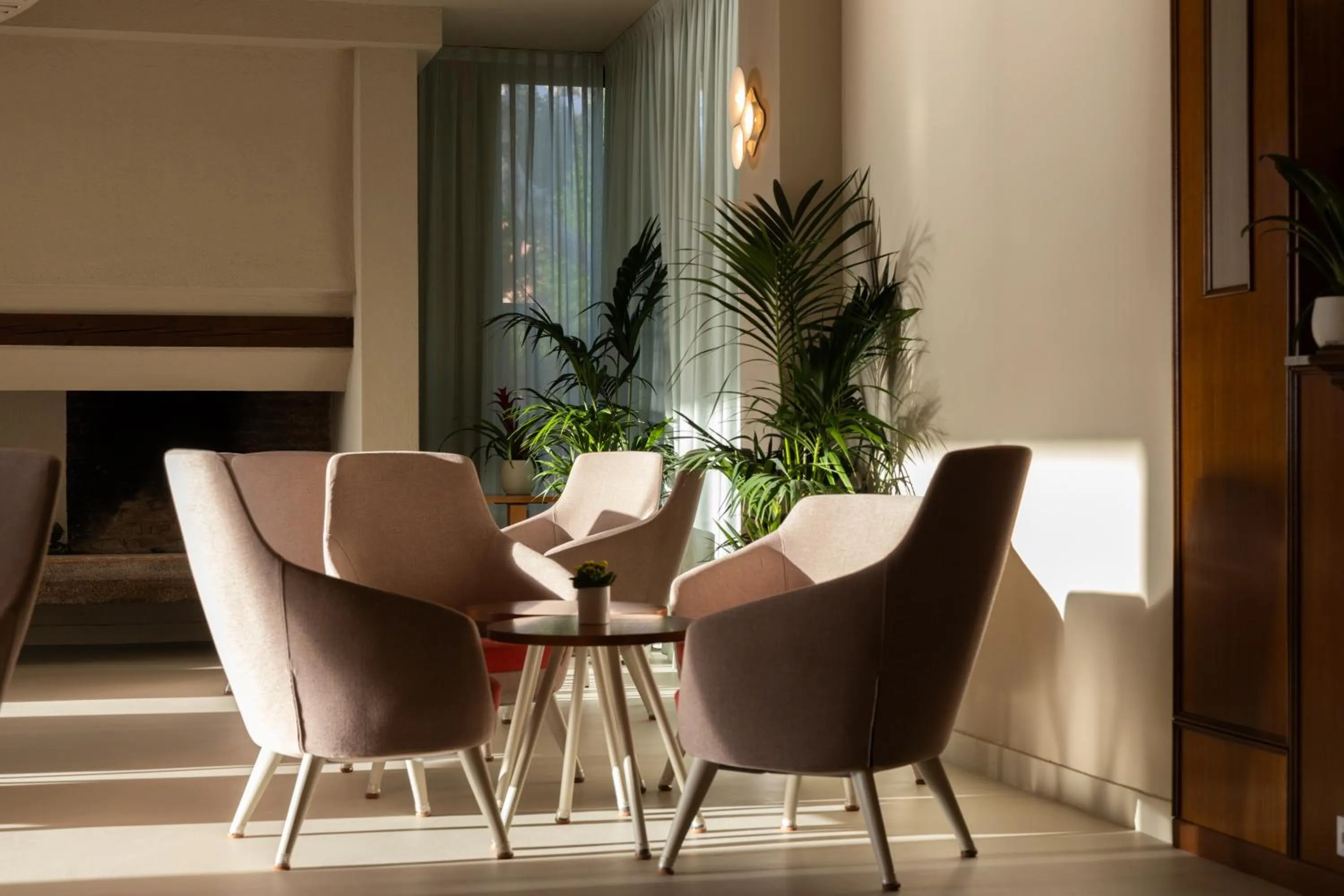 Lounge or bar in Hotel Nettuno