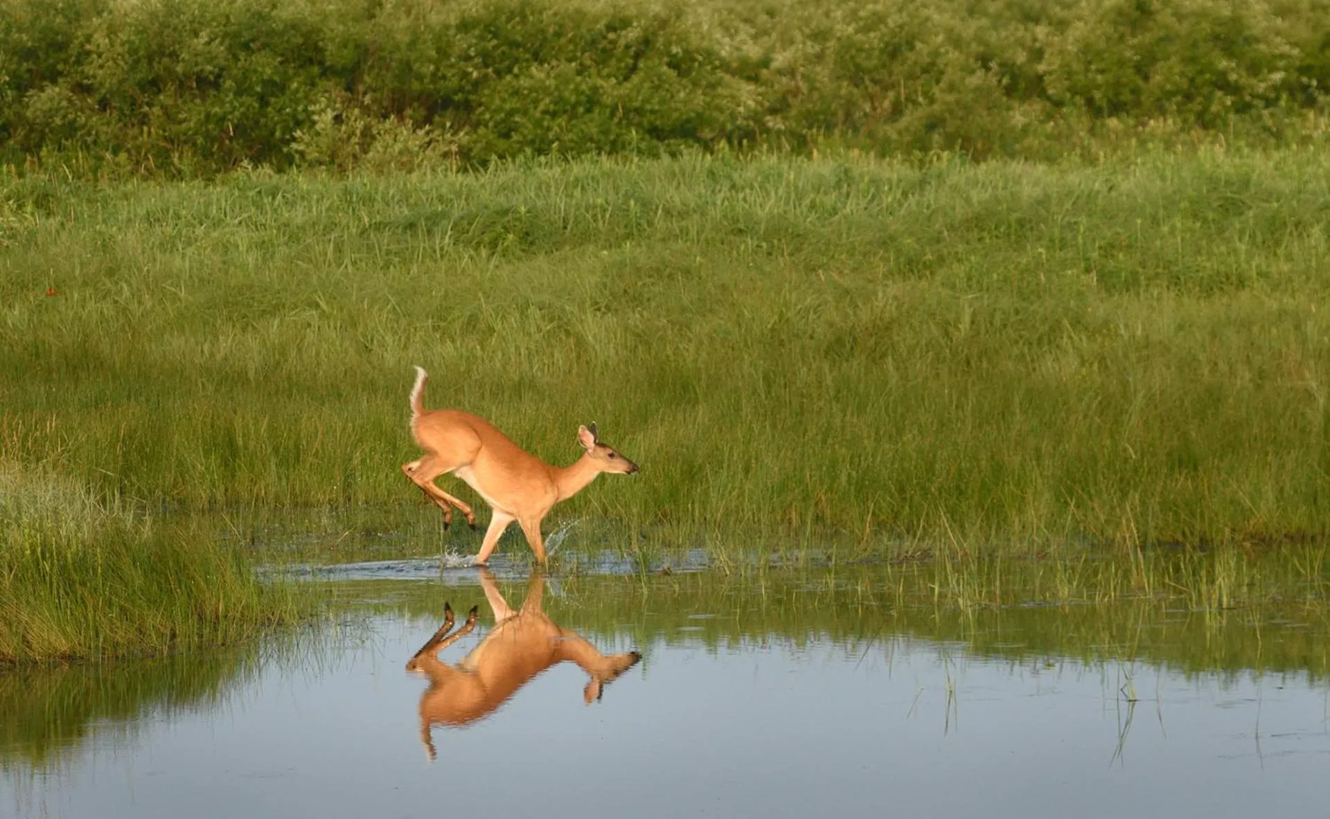 Natural landscape in Grantsburg Inn