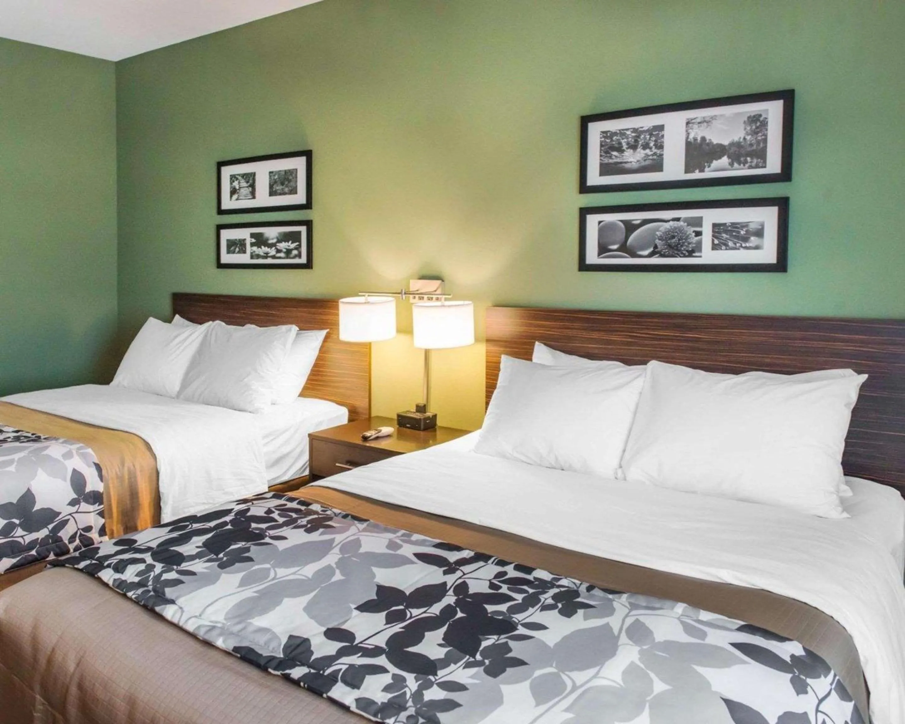 Photo of the whole room, Bed in Sleep Inn & Suites Defuniak Springs - Crestview