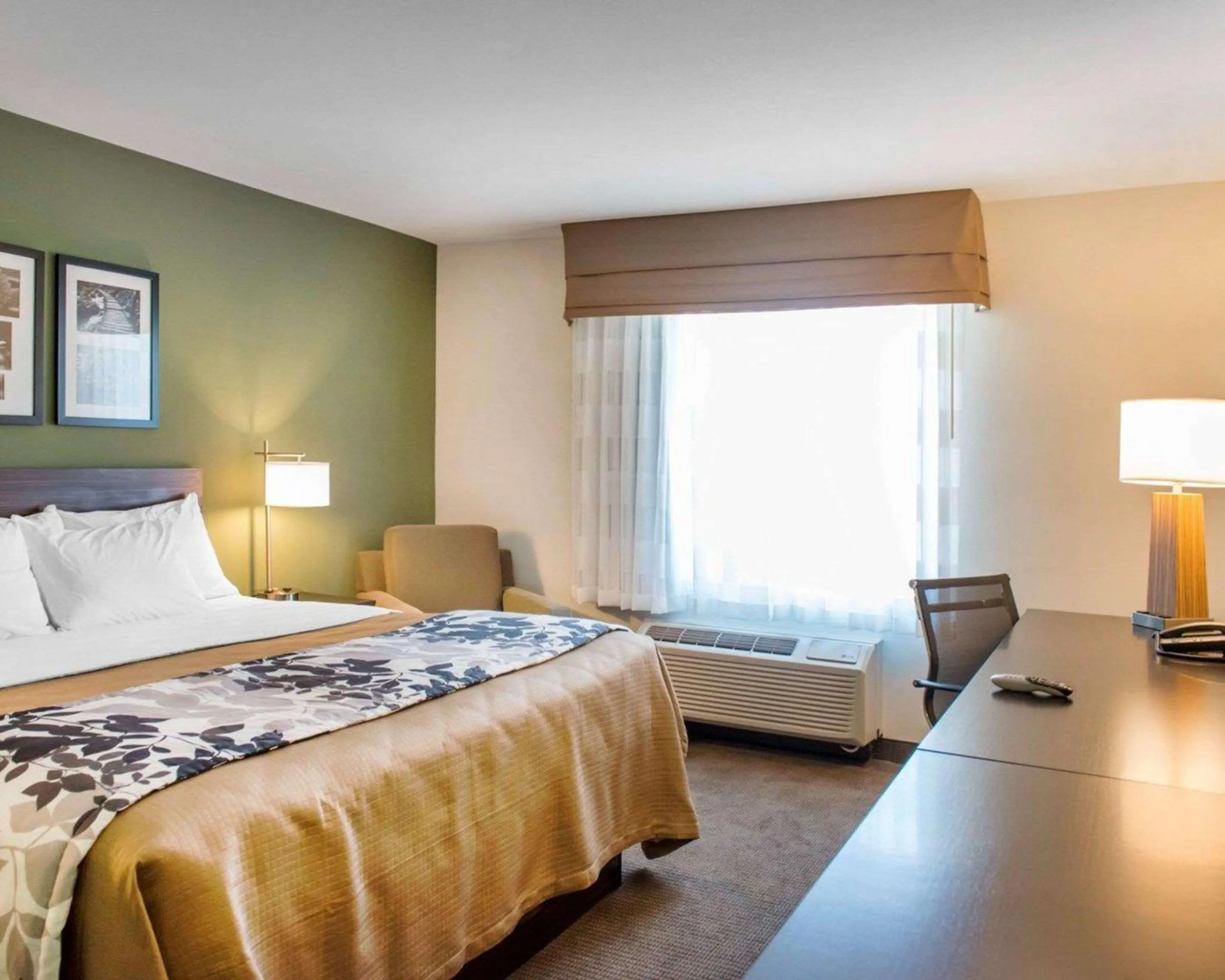 Photo of the whole room, Bed in Sleep Inn & Suites Defuniak Springs - Crestview