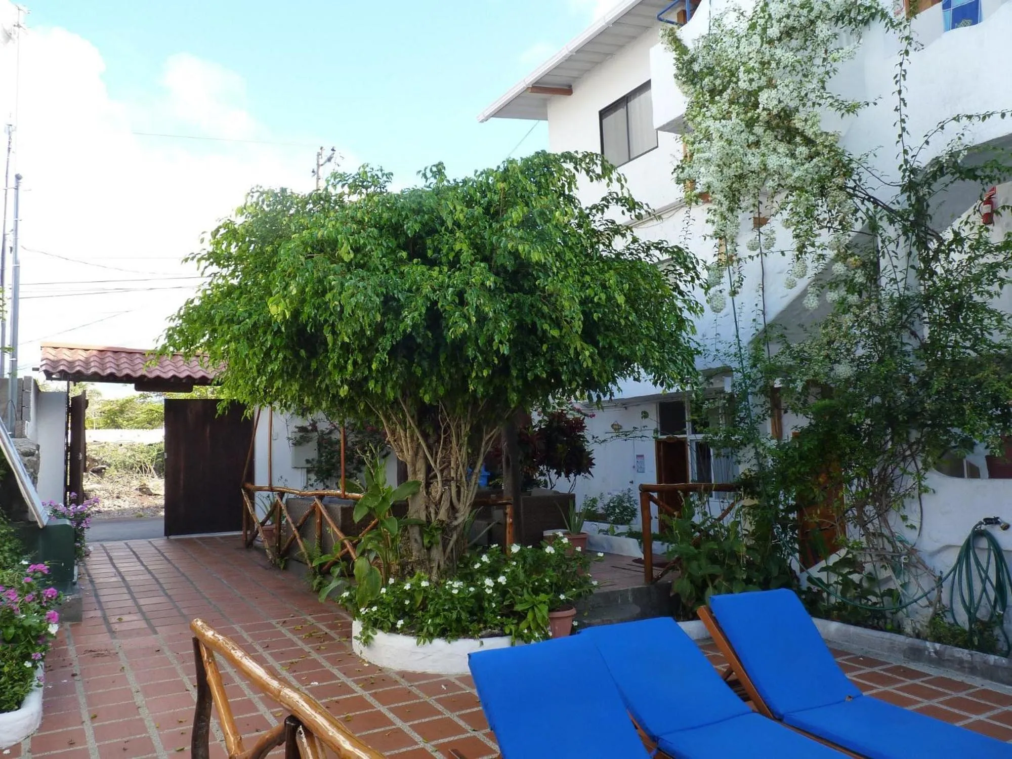 Lobby or reception in Hotel La Casa de Judy