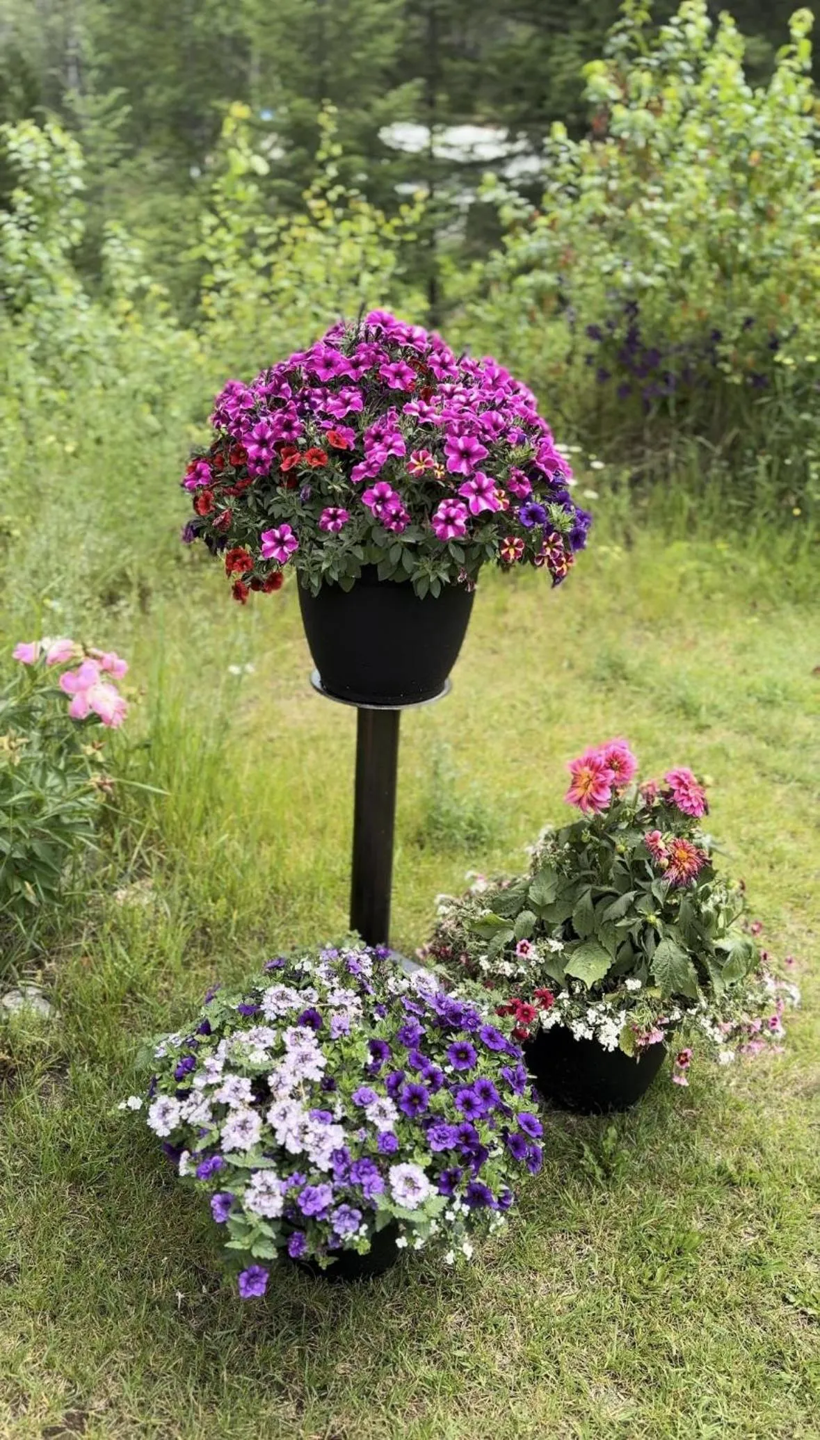 Property building in Hotel Civilia Lakeside by Civilia Golf Retreat