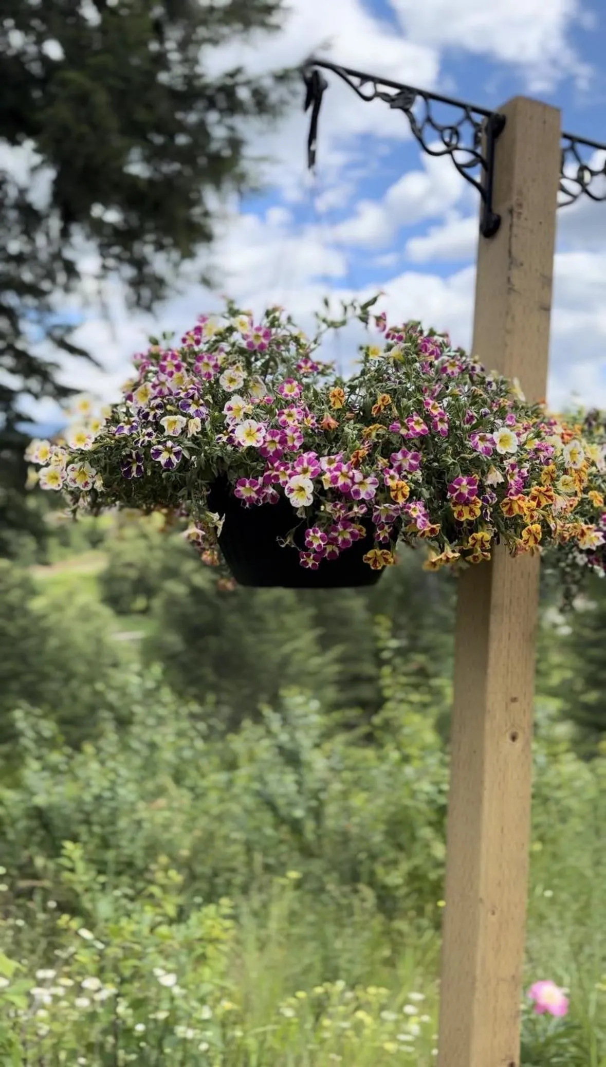 Property building in Hotel Civilia Lakeside by Civilia Golf Retreat