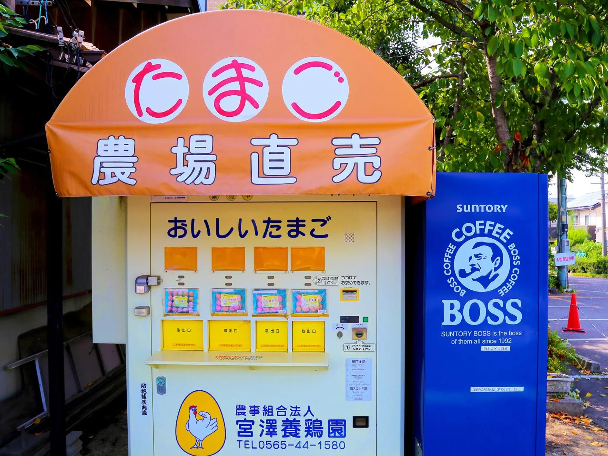 Restaurant/places to eat in Matsukaze