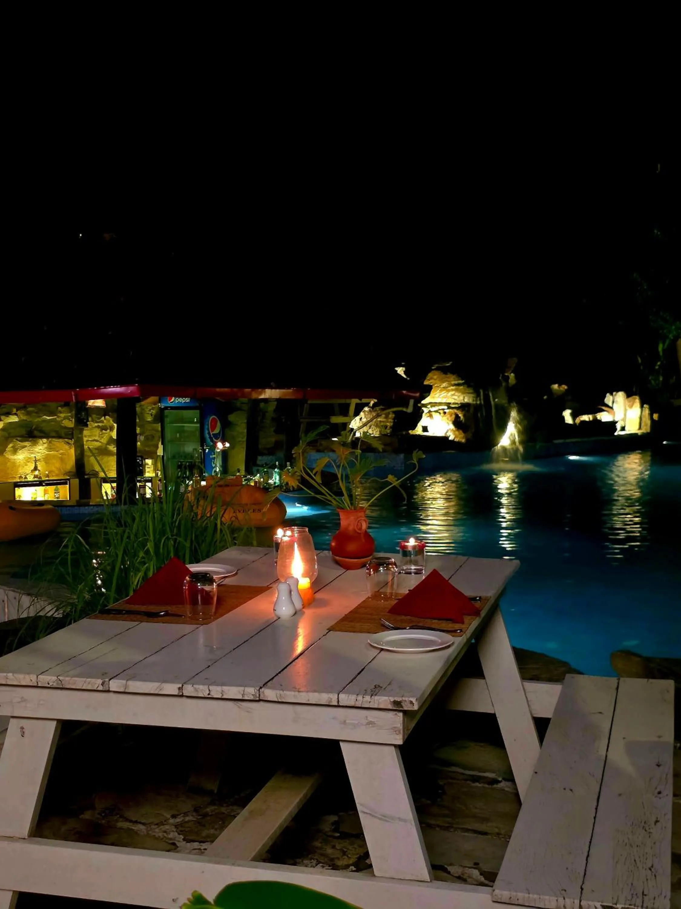 Night in Siddhartha Wildlife Retreat