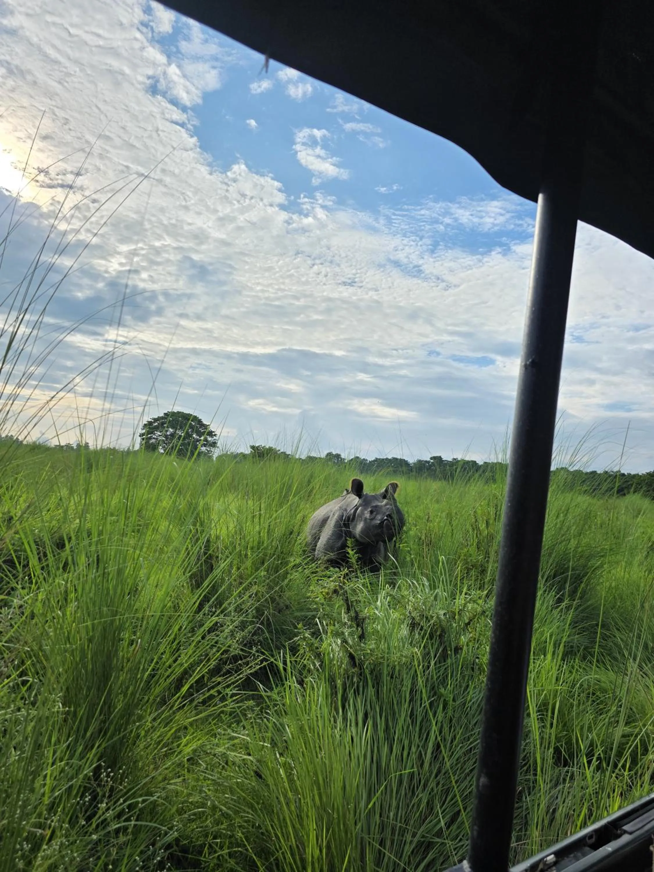 Day in Siddhartha Wildlife Retreat