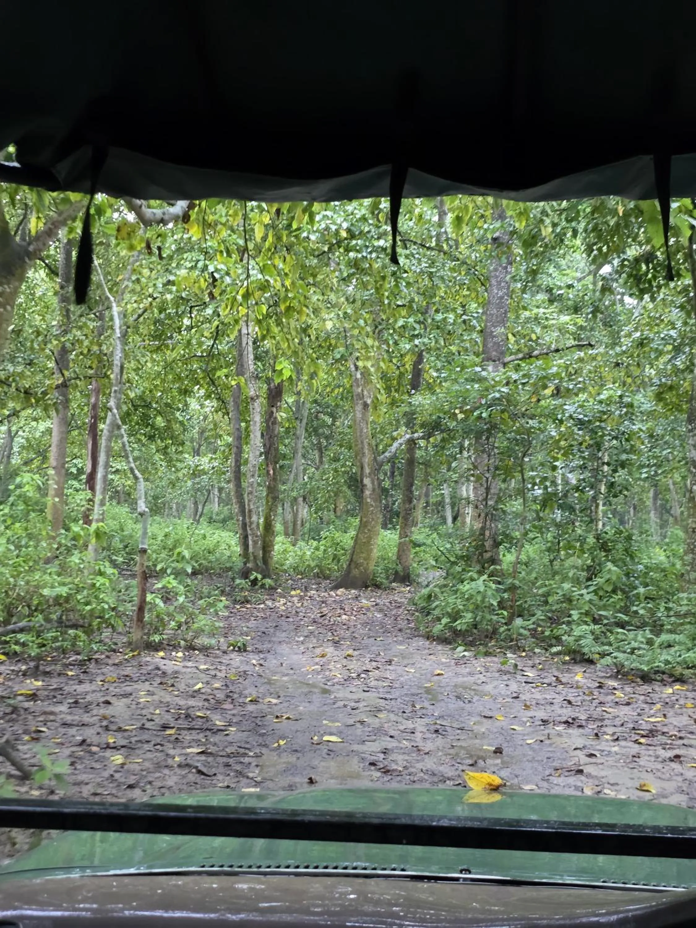 Natural landscape in Siddhartha Wildlife Retreat