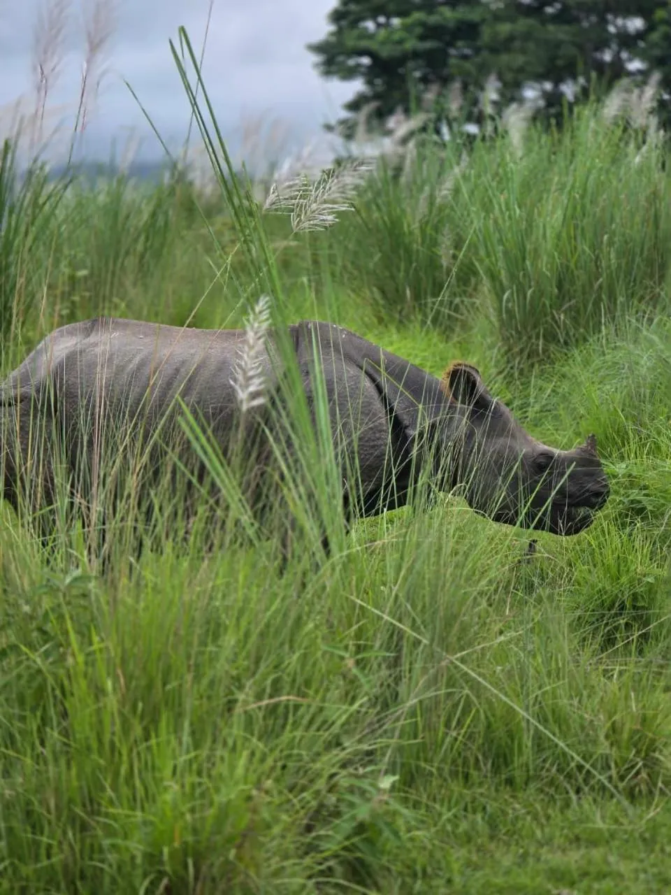 Day in Siddhartha Wildlife Retreat