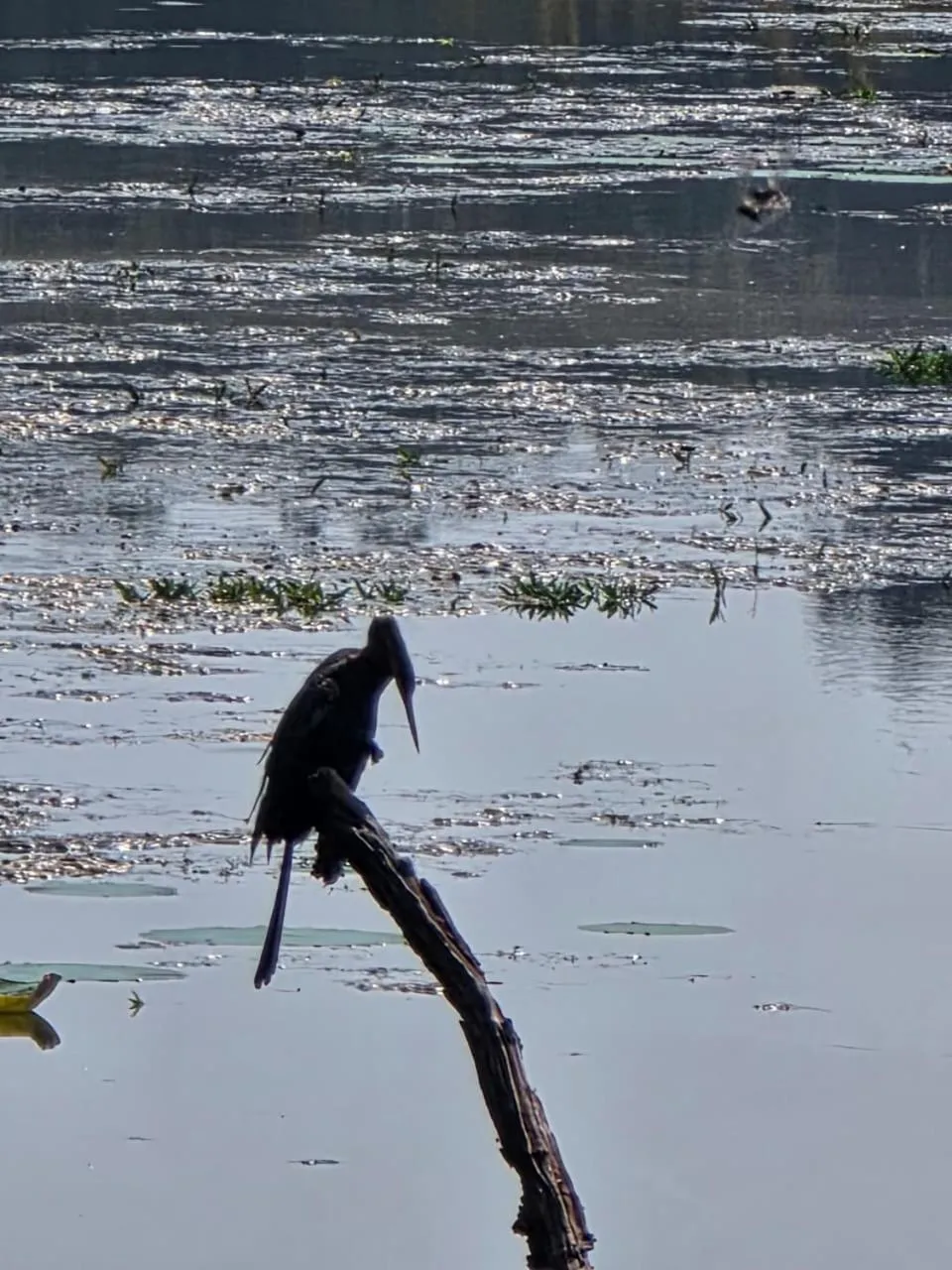 Activities in Siddhartha Wildlife Retreat