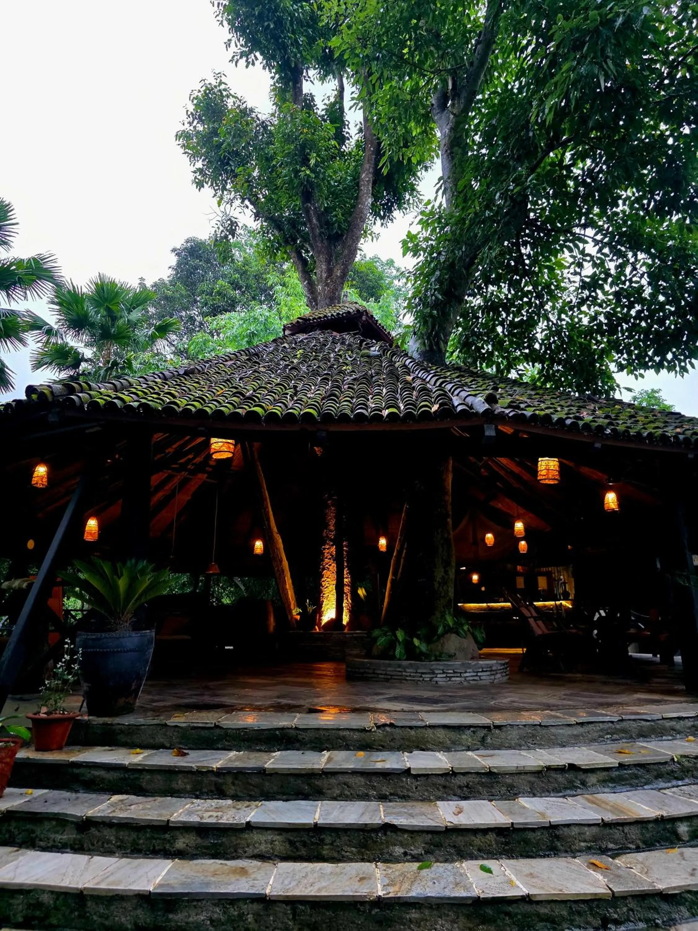 Property building in Siddhartha Wildlife Retreat