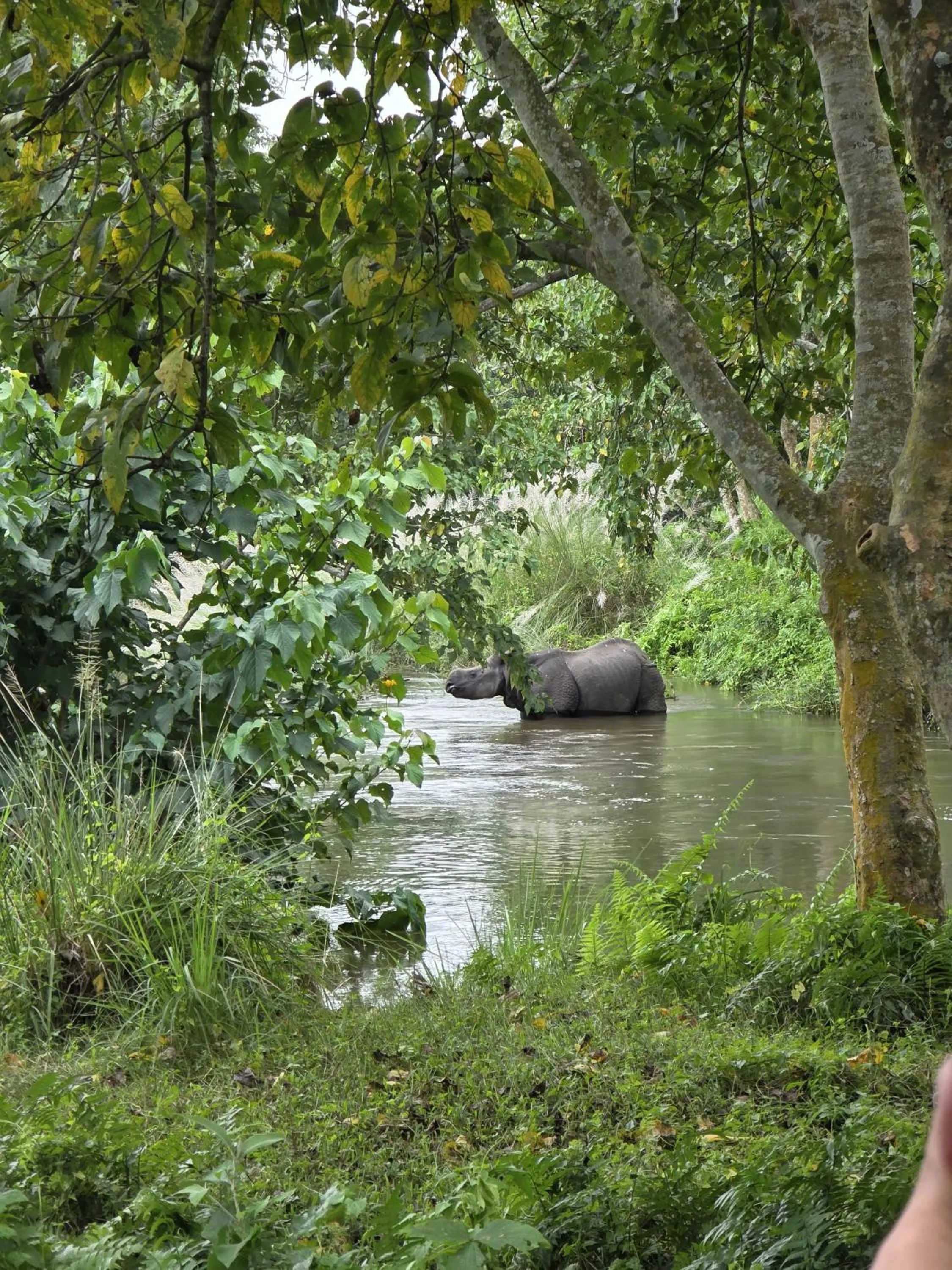 Natural landscape in Siddhartha Wildlife Retreat