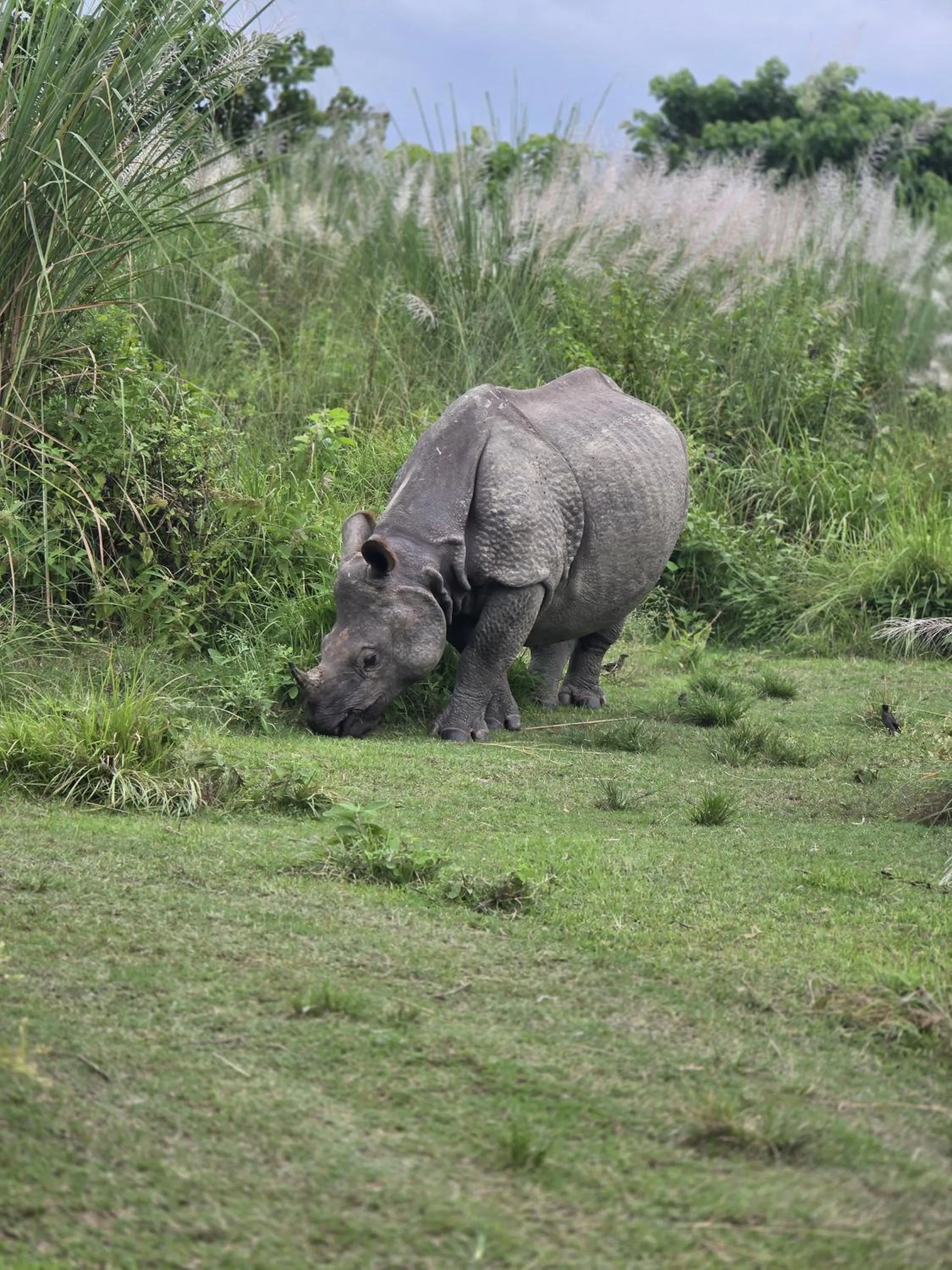 Day in Siddhartha Wildlife Retreat