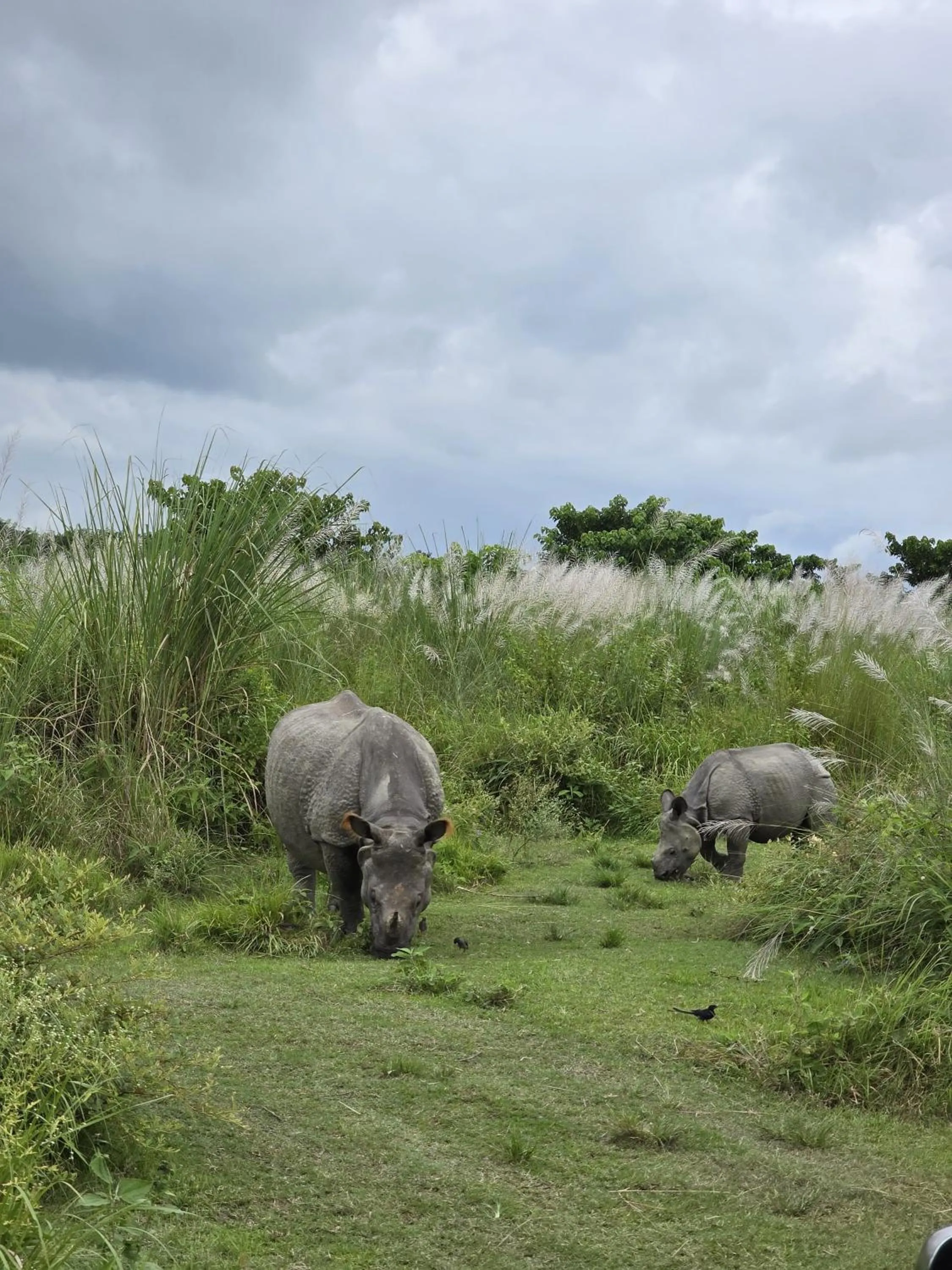 Natural landscape in Siddhartha Wildlife Retreat