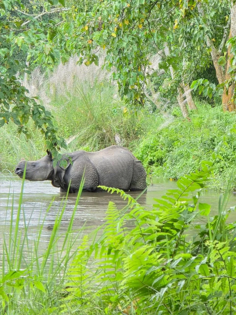Natural landscape in Siddhartha Wildlife Retreat