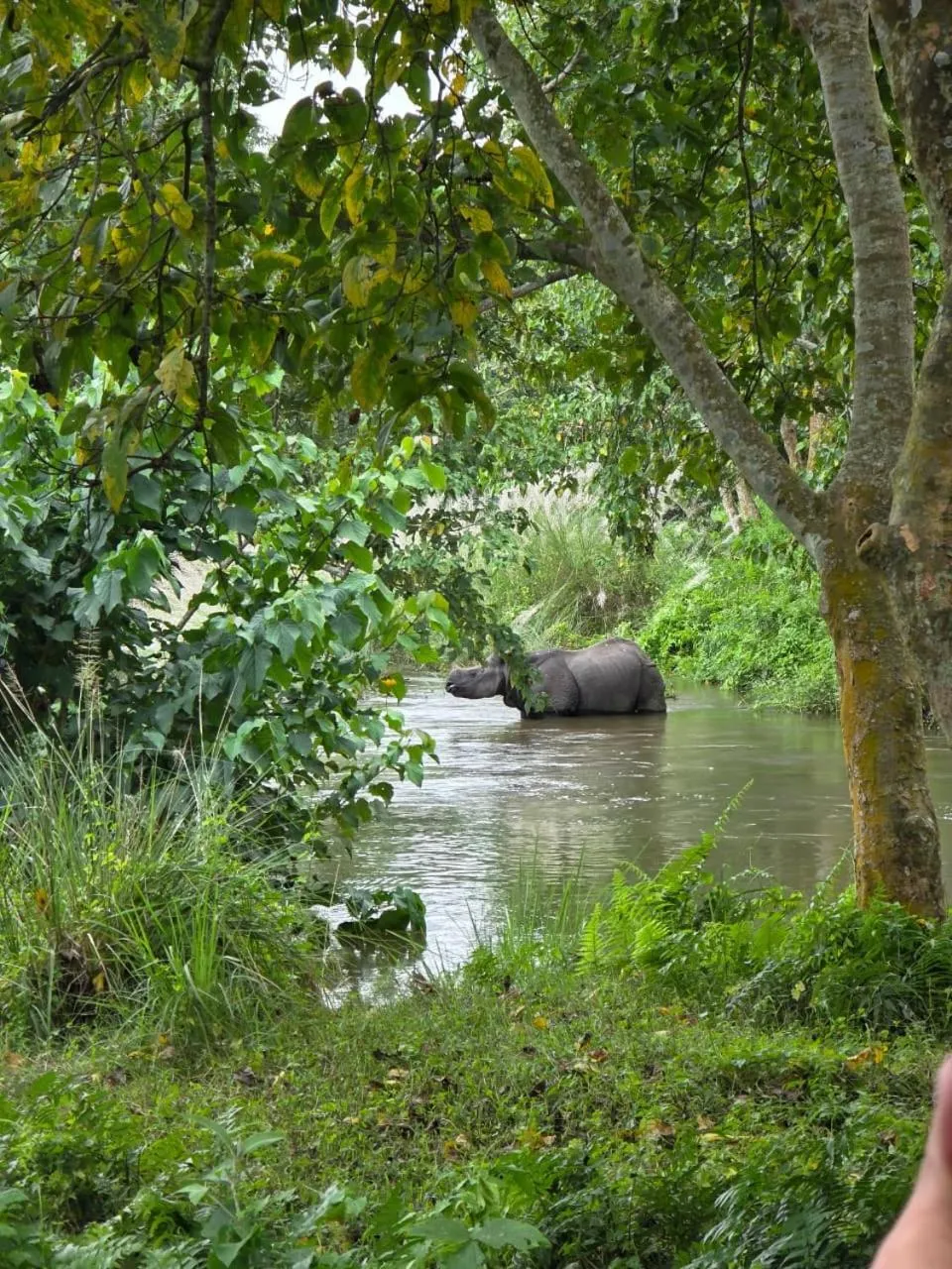 Natural landscape in Siddhartha Wildlife Retreat
