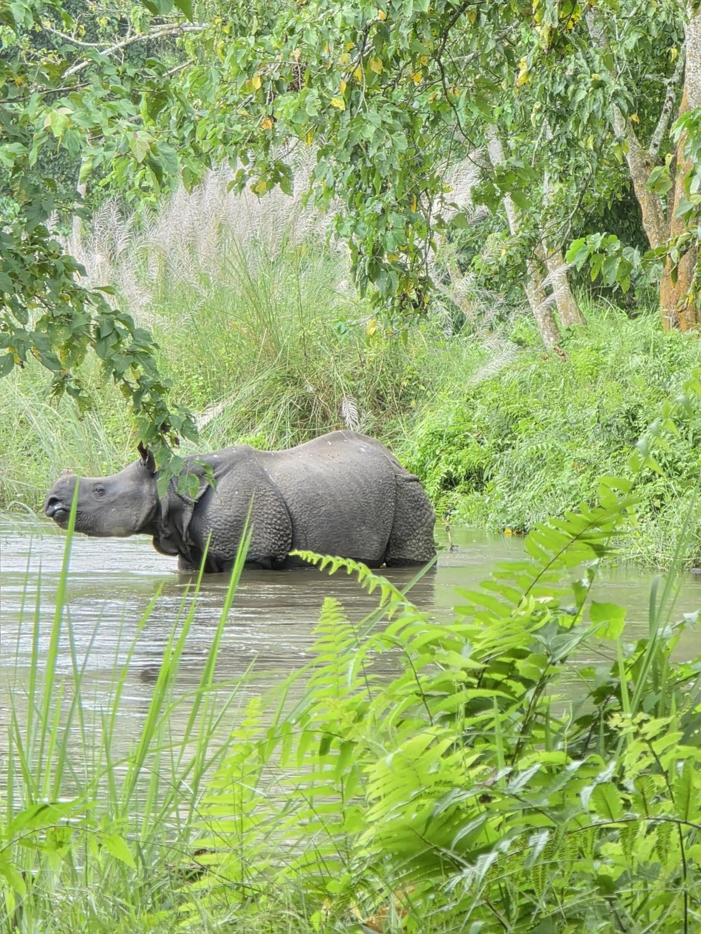 Natural landscape in Siddhartha Wildlife Retreat