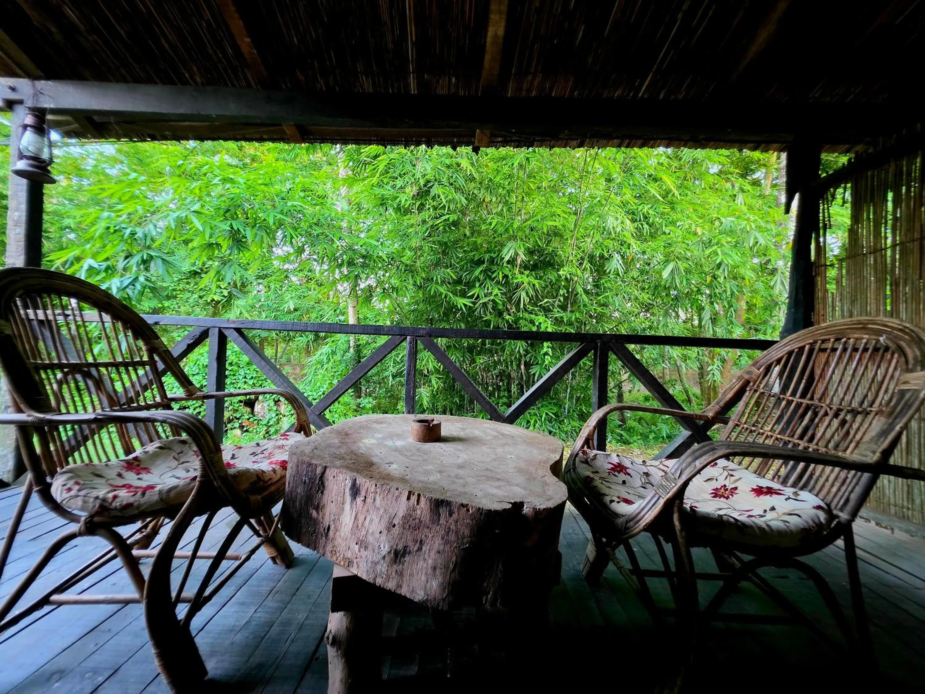 Balcony/Terrace in Siddhartha Wildlife Retreat