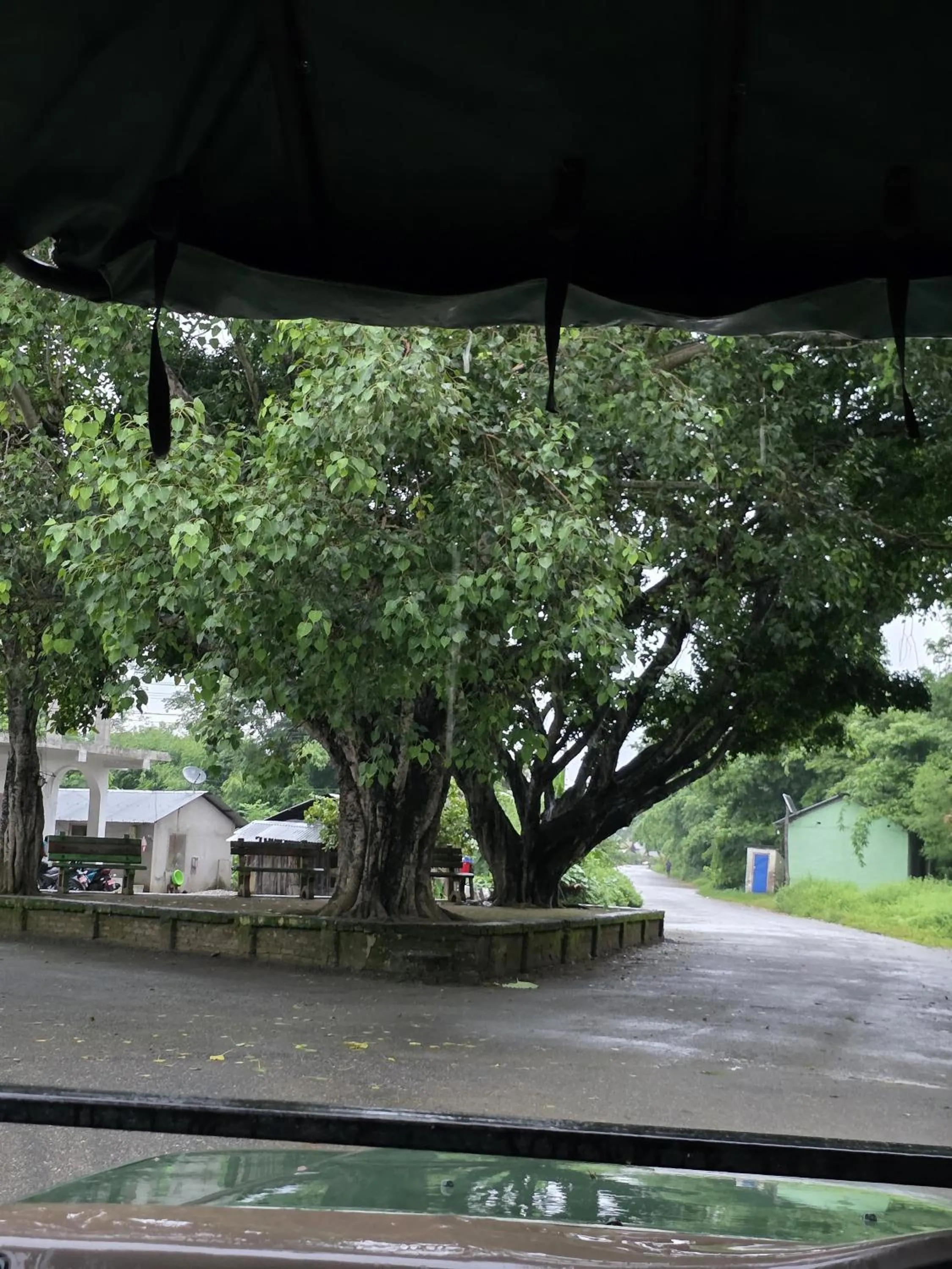 Natural landscape in Siddhartha Wildlife Retreat